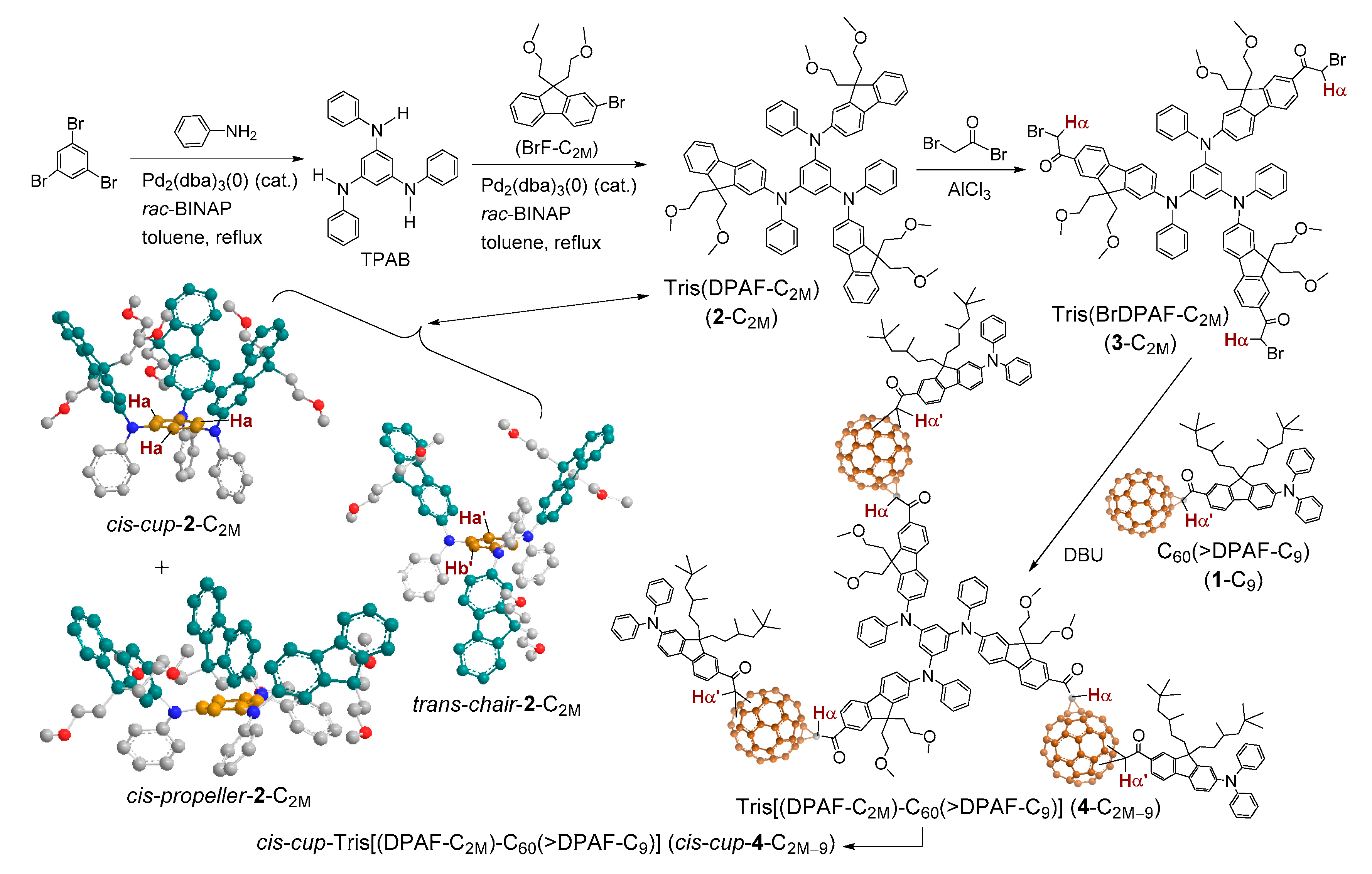 Molecules 24 03337 g001