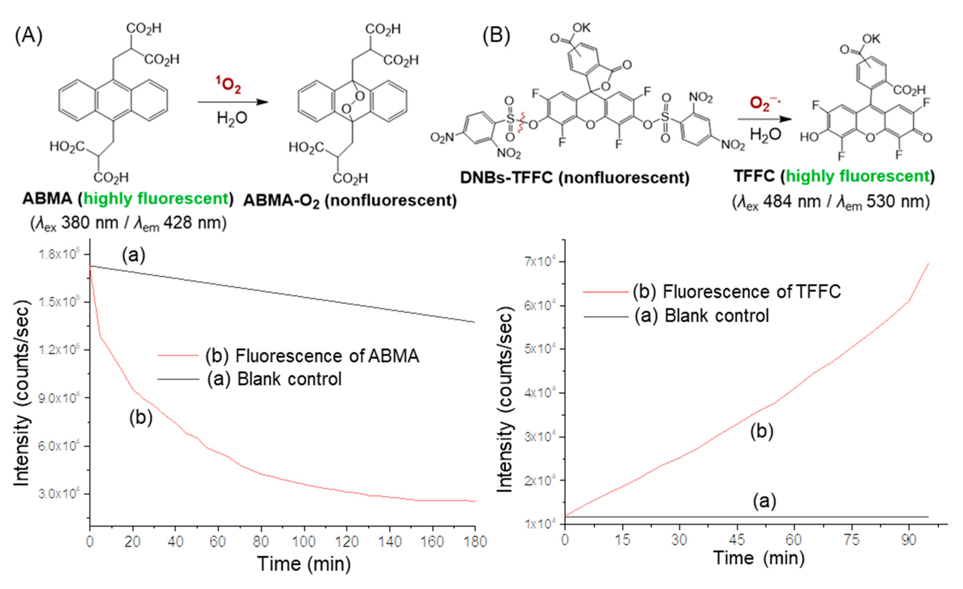 Molecules 24 03337 g007
