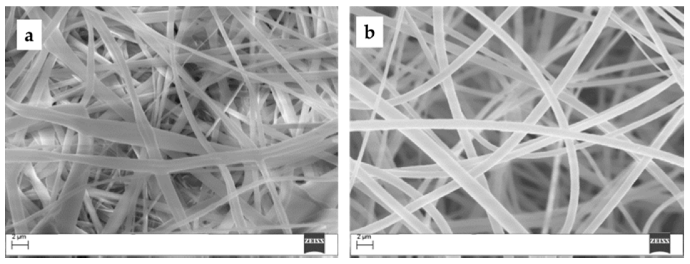 Molecules 24 03344 g002