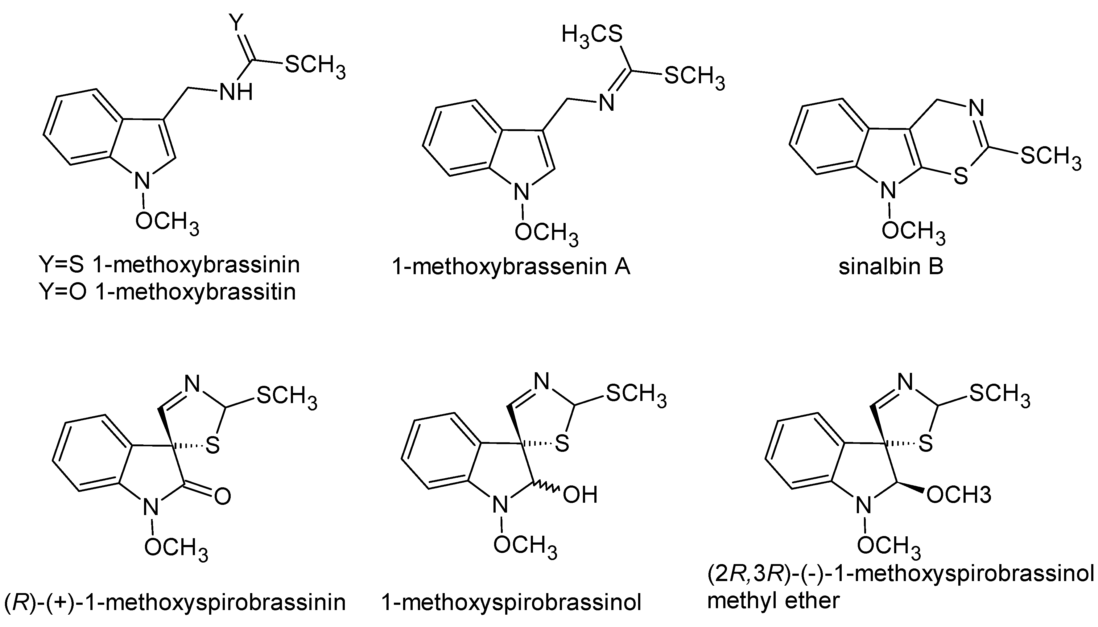 Molecules 24 03347 g001