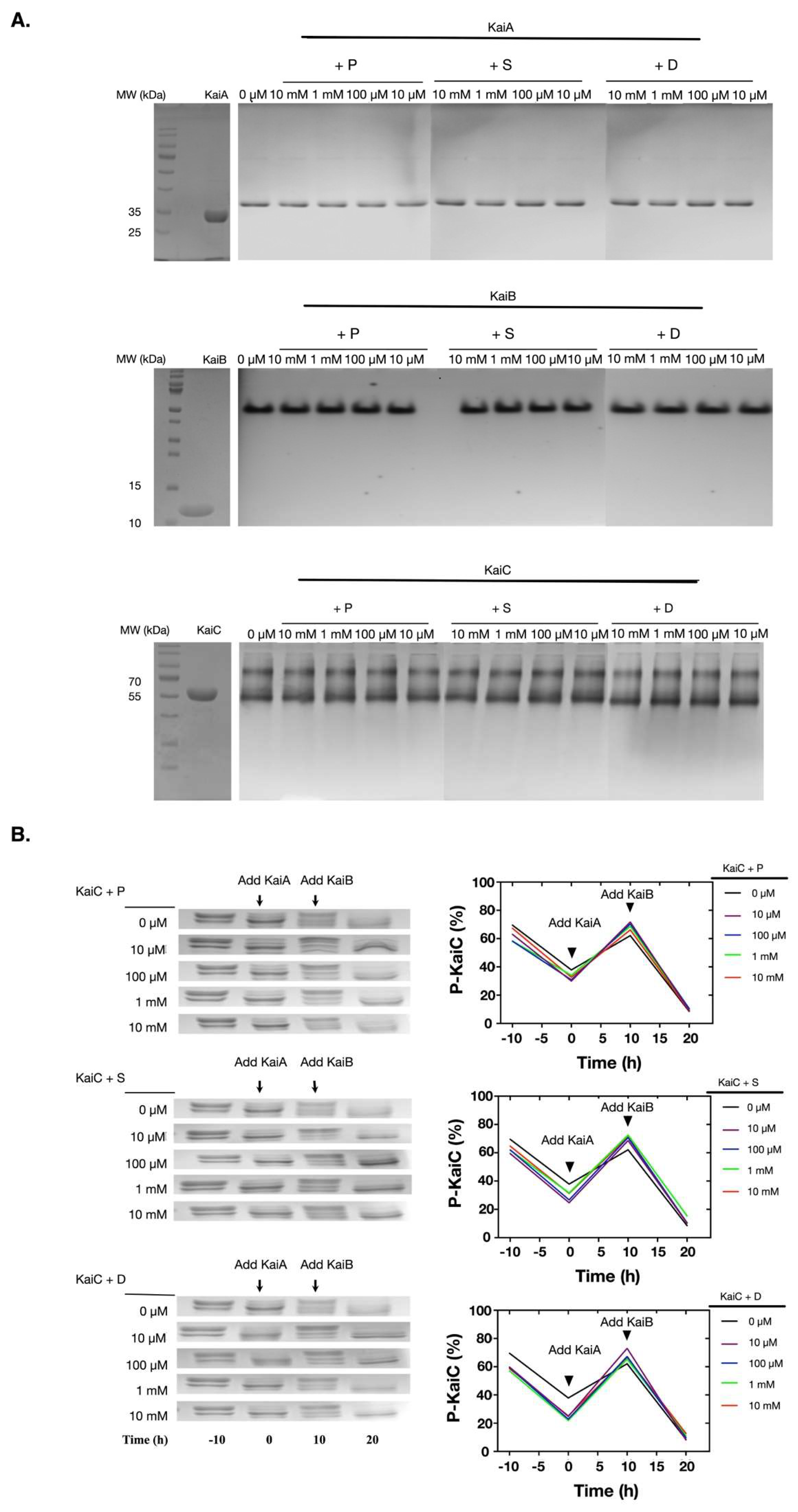 Molecules 24 03351 g002