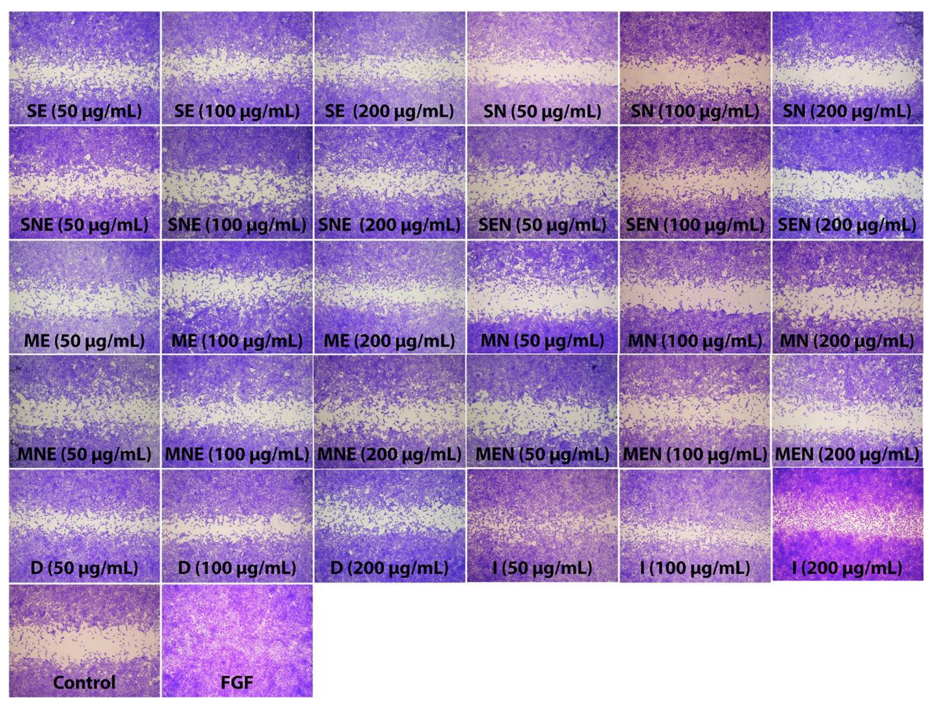 Molecules 24 03353 g004