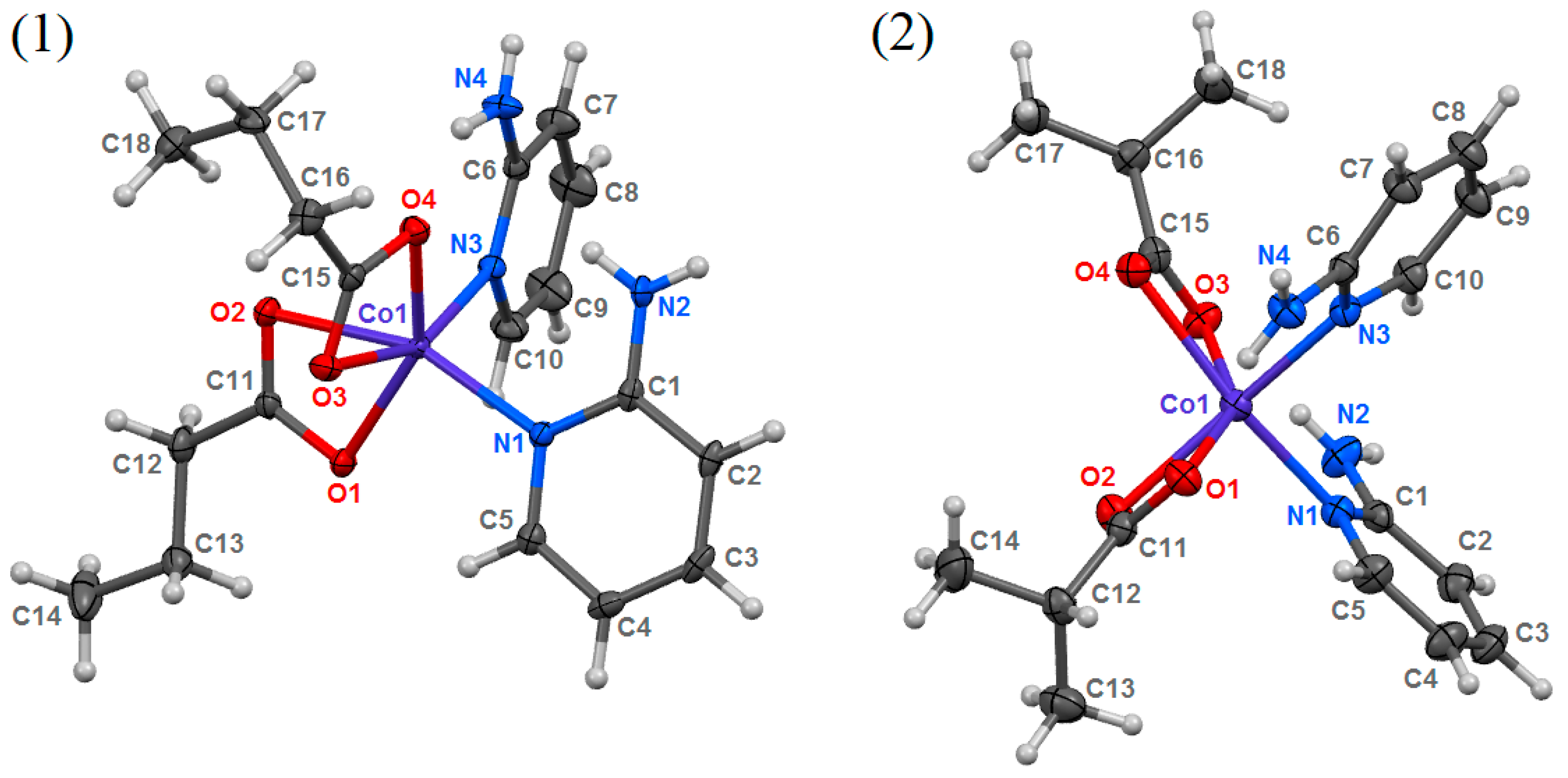 Molecules 24 03357 g001