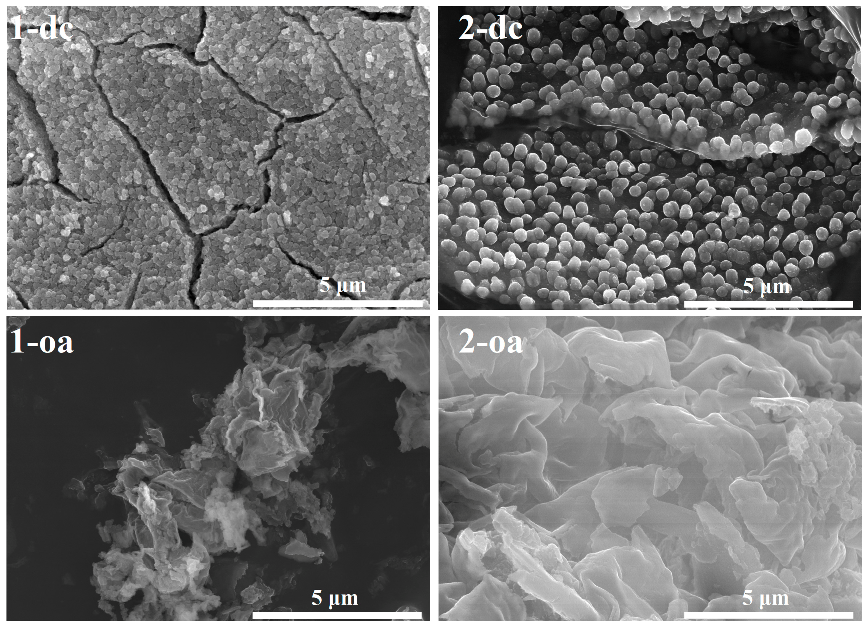 Molecules 24 03357 g008