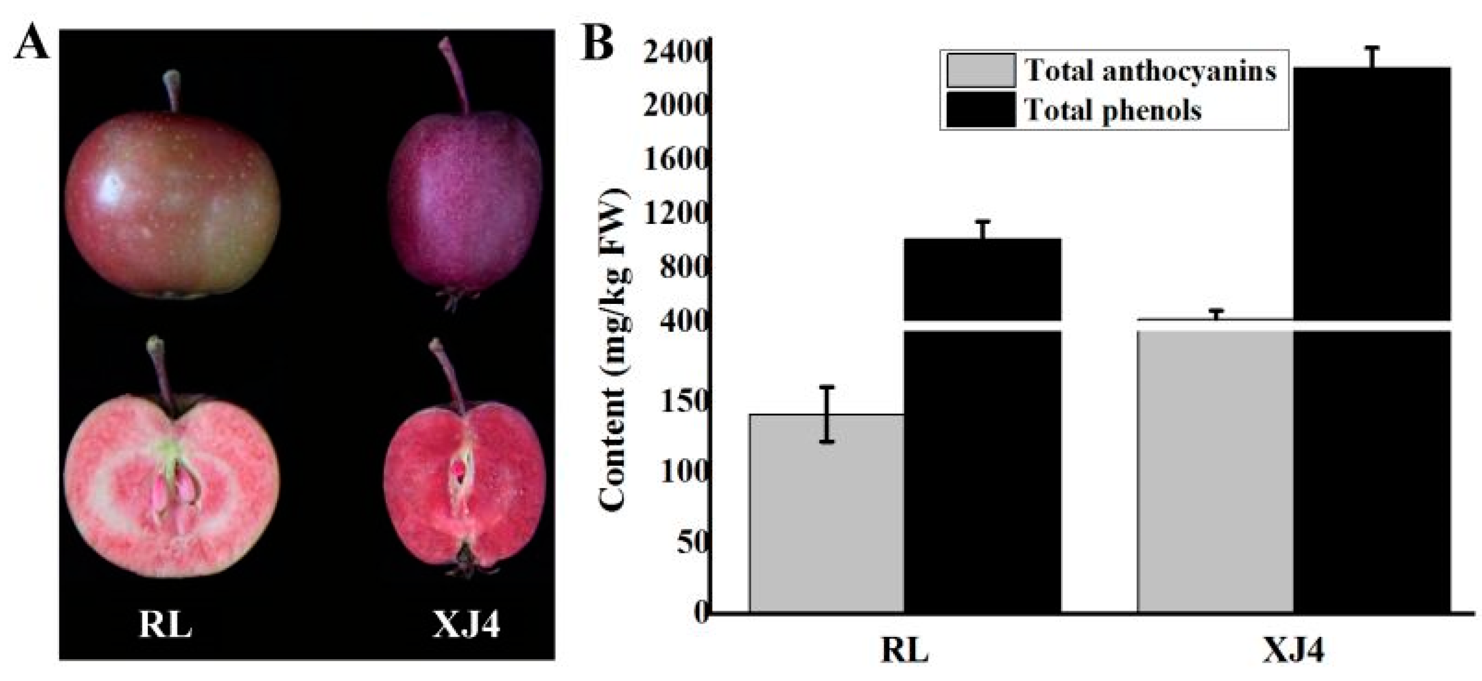 Breeding red-fleshed apples – introduction — Science Learning Hub