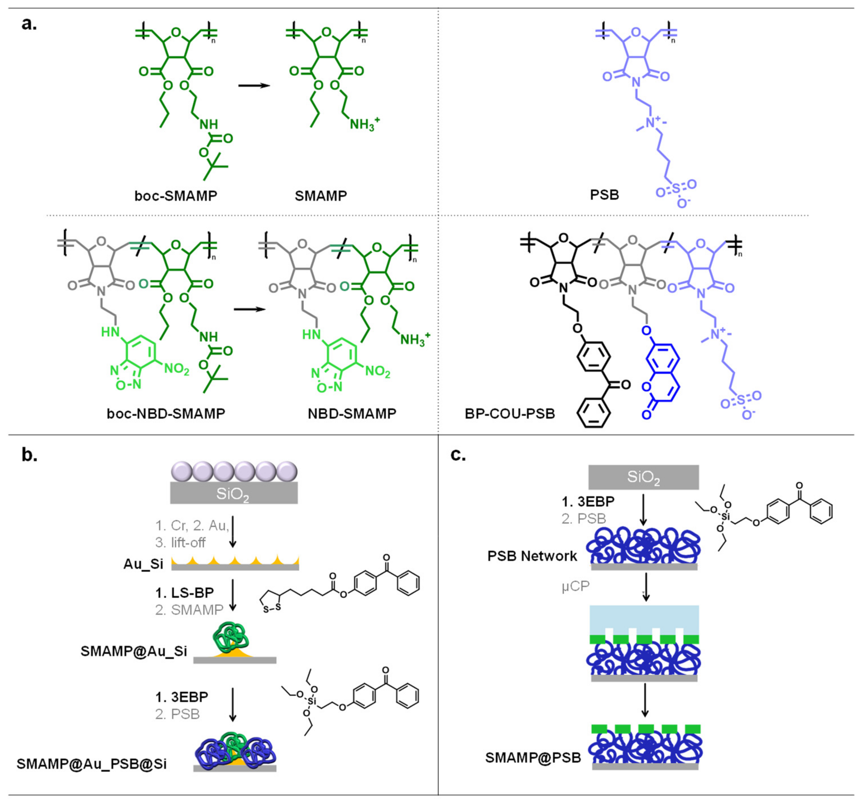 Molecules 24 03371 g001 Molecules 24 03371 g001
