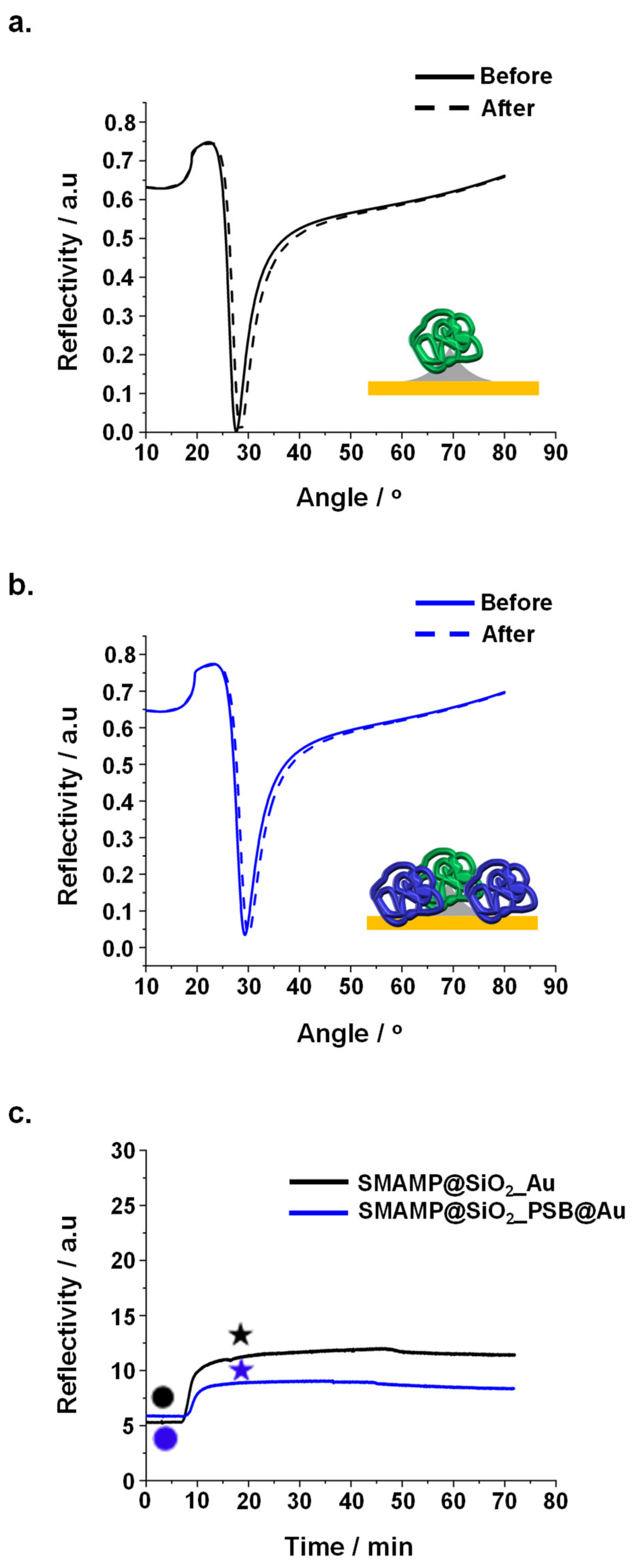 Molecules 24 03371 g004 Molecules 24 03371 g004