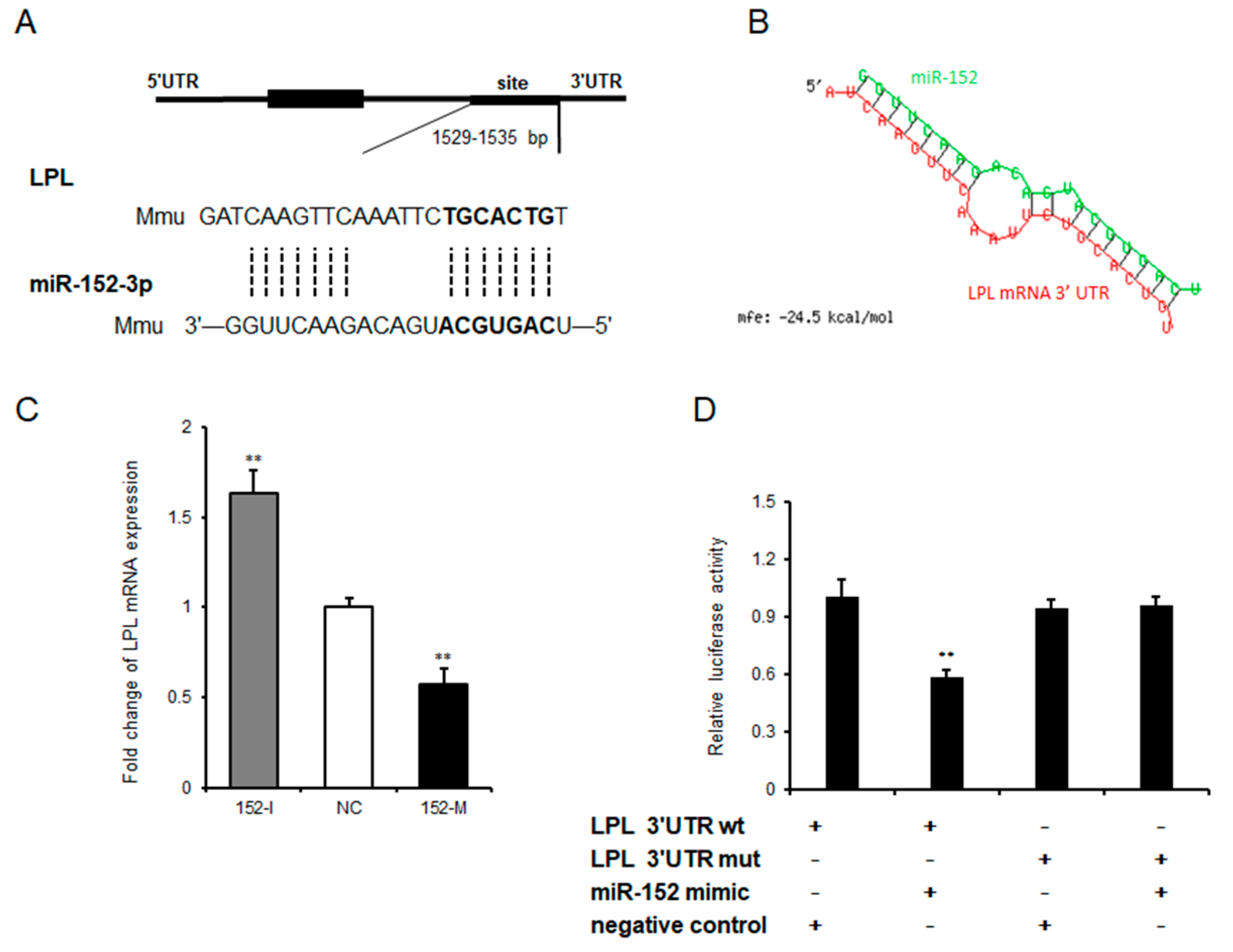 Molecules 24 03379 g004