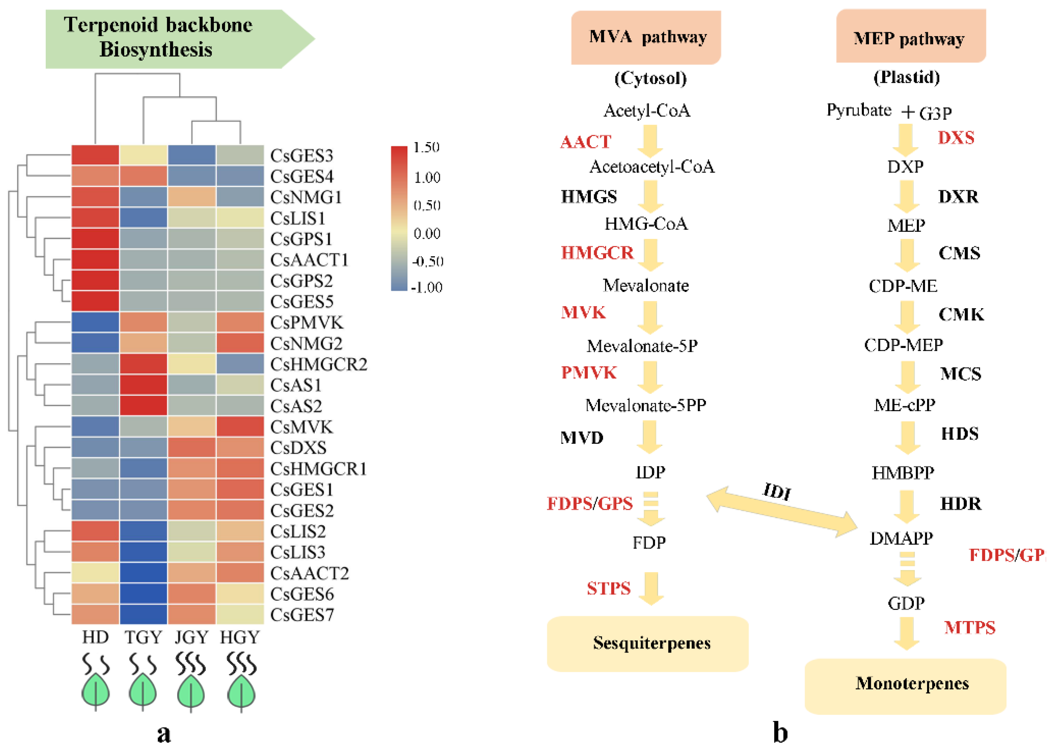 Molecules 24 03380 g004 Molecules 24 03380 g004