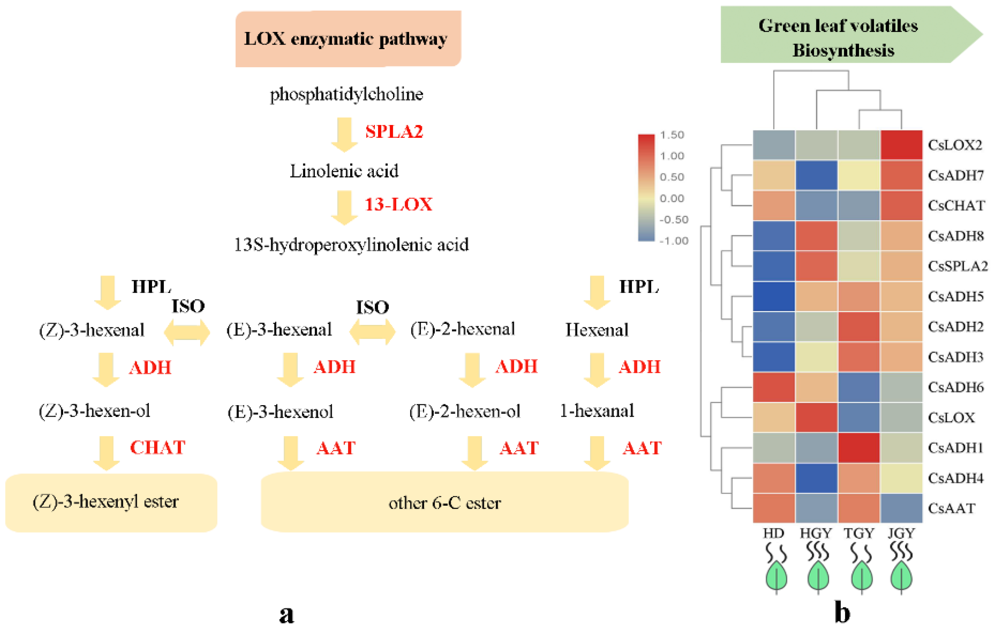 Molecules 24 03380 g005 Molecules 24 03380 g005