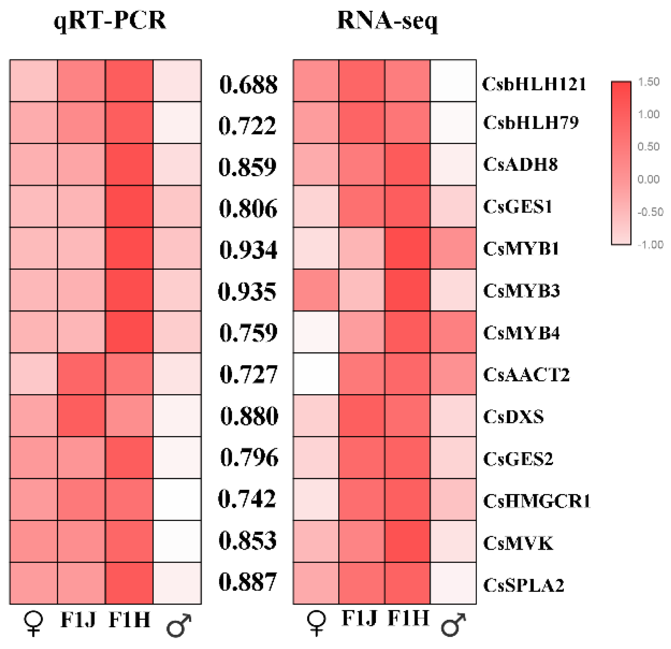 Molecules 24 03380 g008 Molecules 24 03380 g008