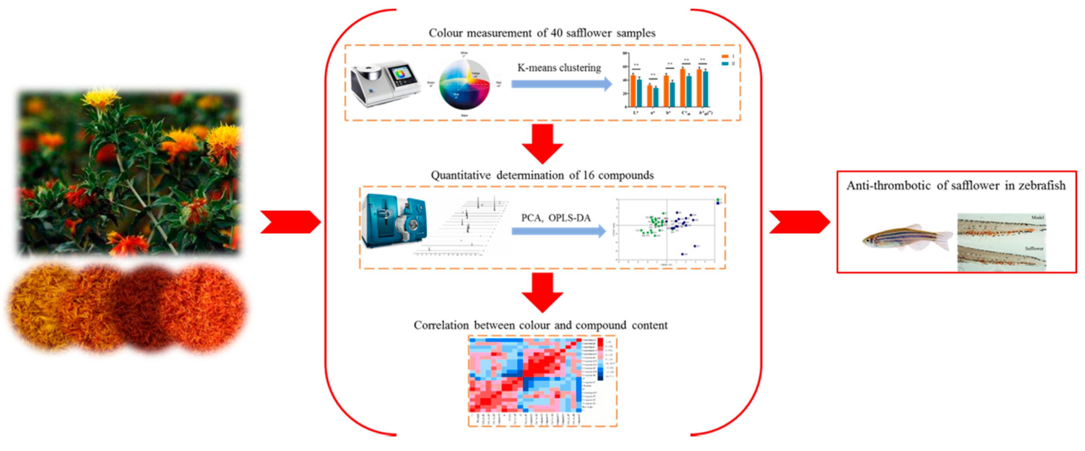 Molecules 24 03381 g001