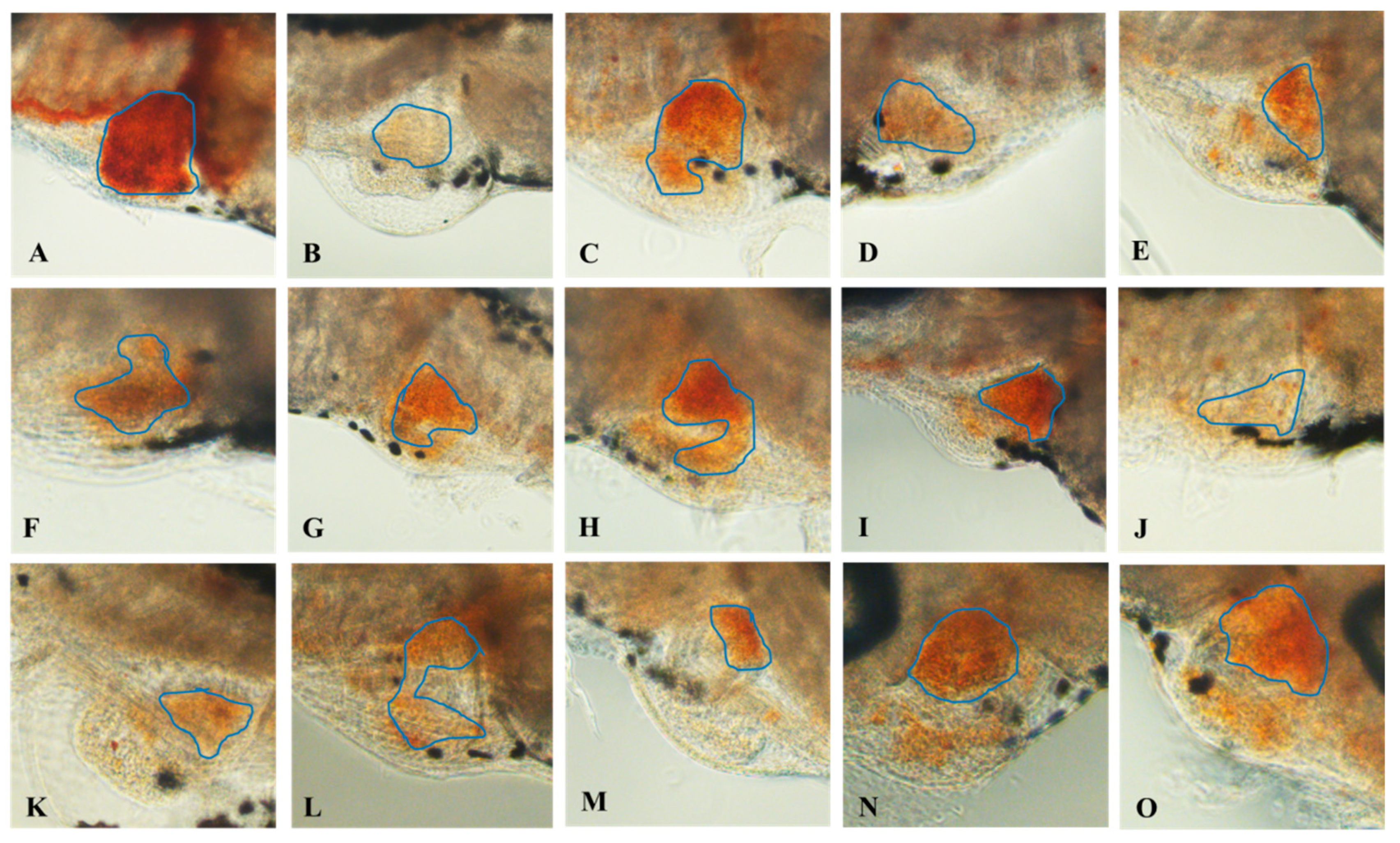 Molecules 24 03381 g005