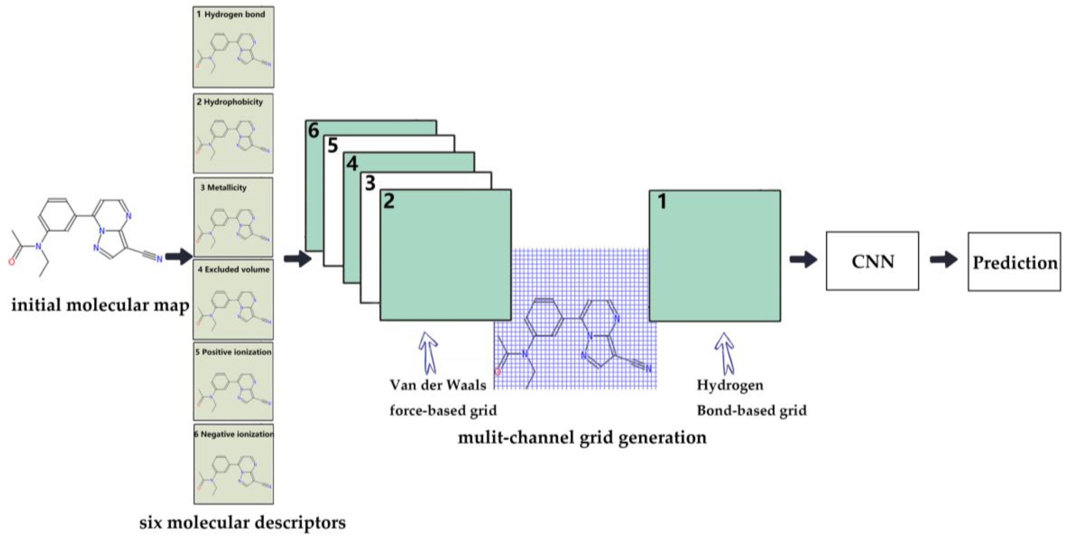 Molecules 24 03383 g001