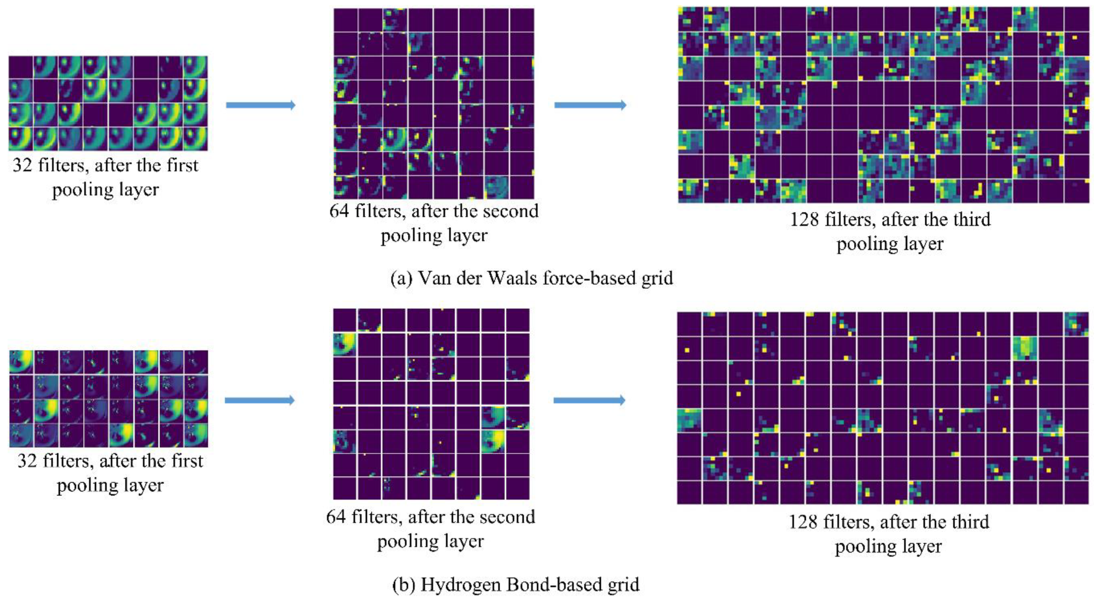 Molecules 24 03383 g005