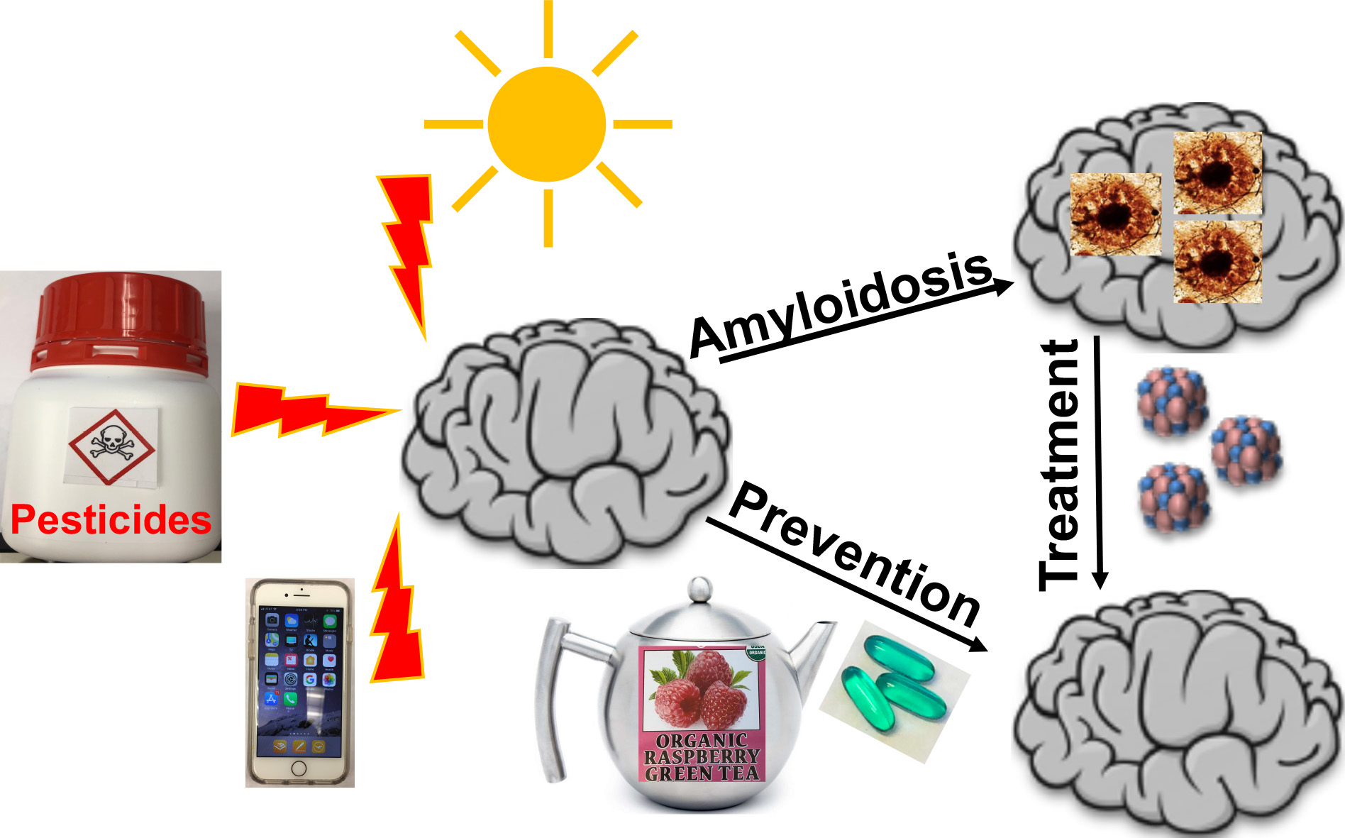 Prions: Food and Drug Safety