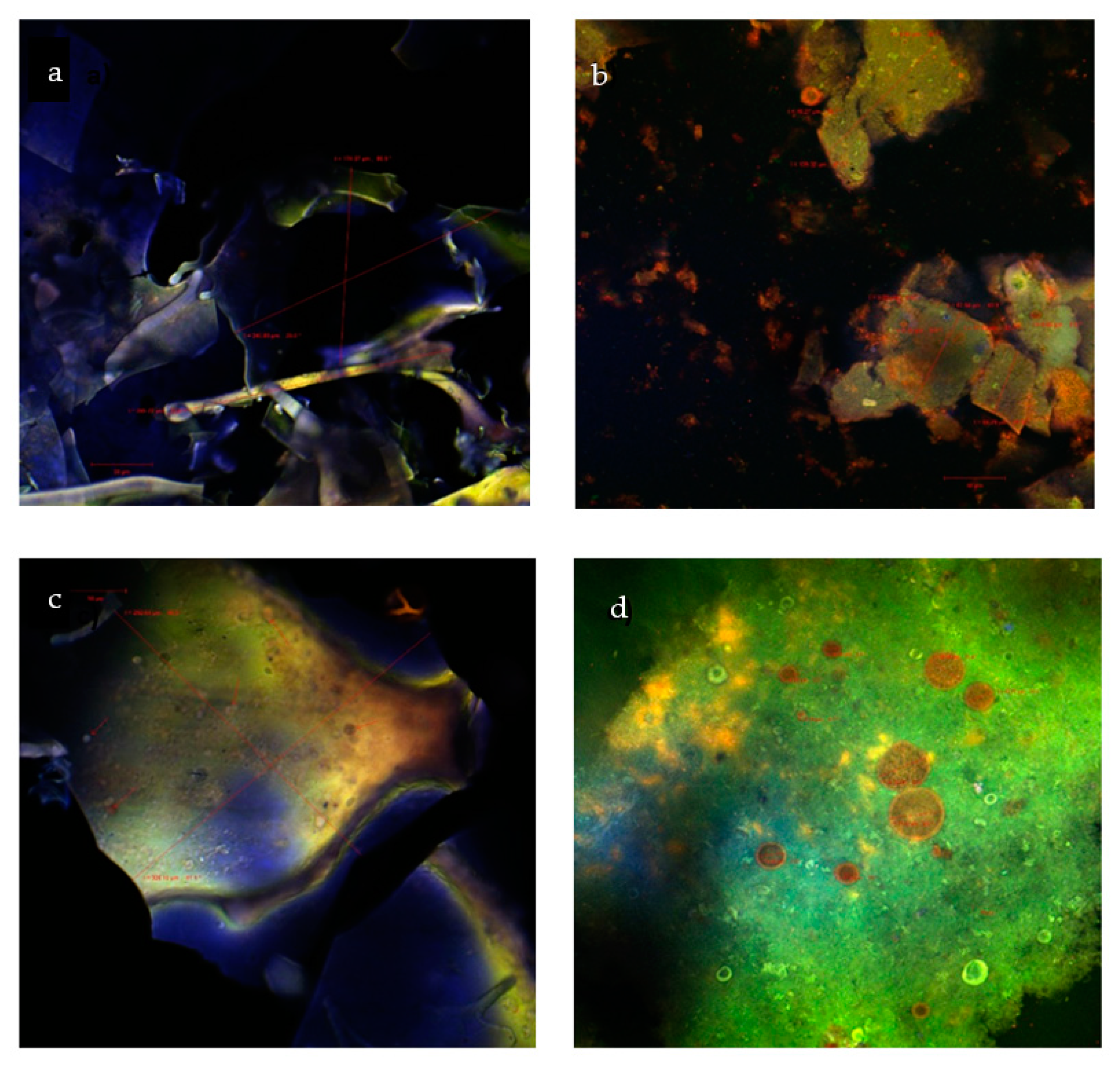Molecules 24 03389 g002 550