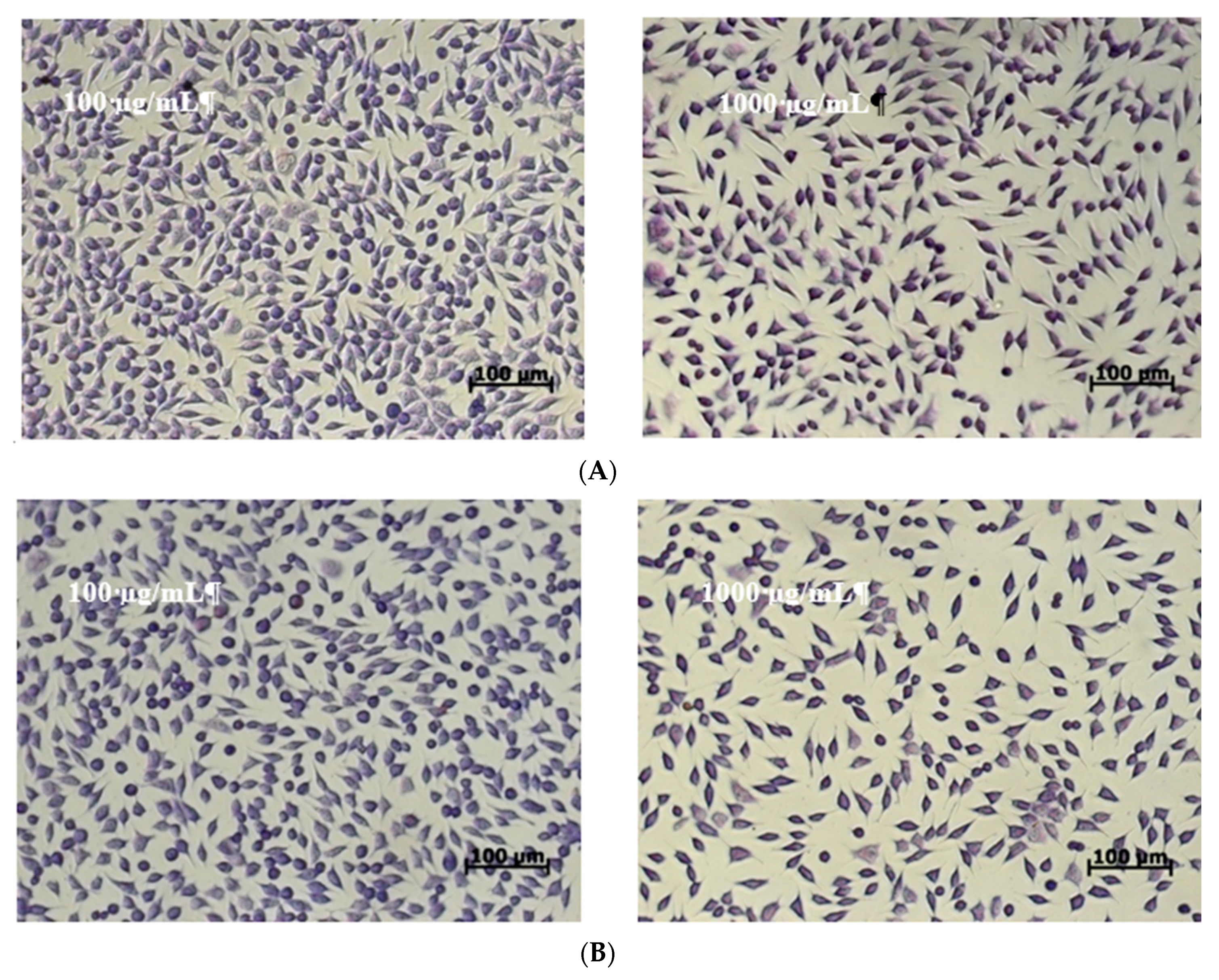 Molecules 24 03389 g004 550