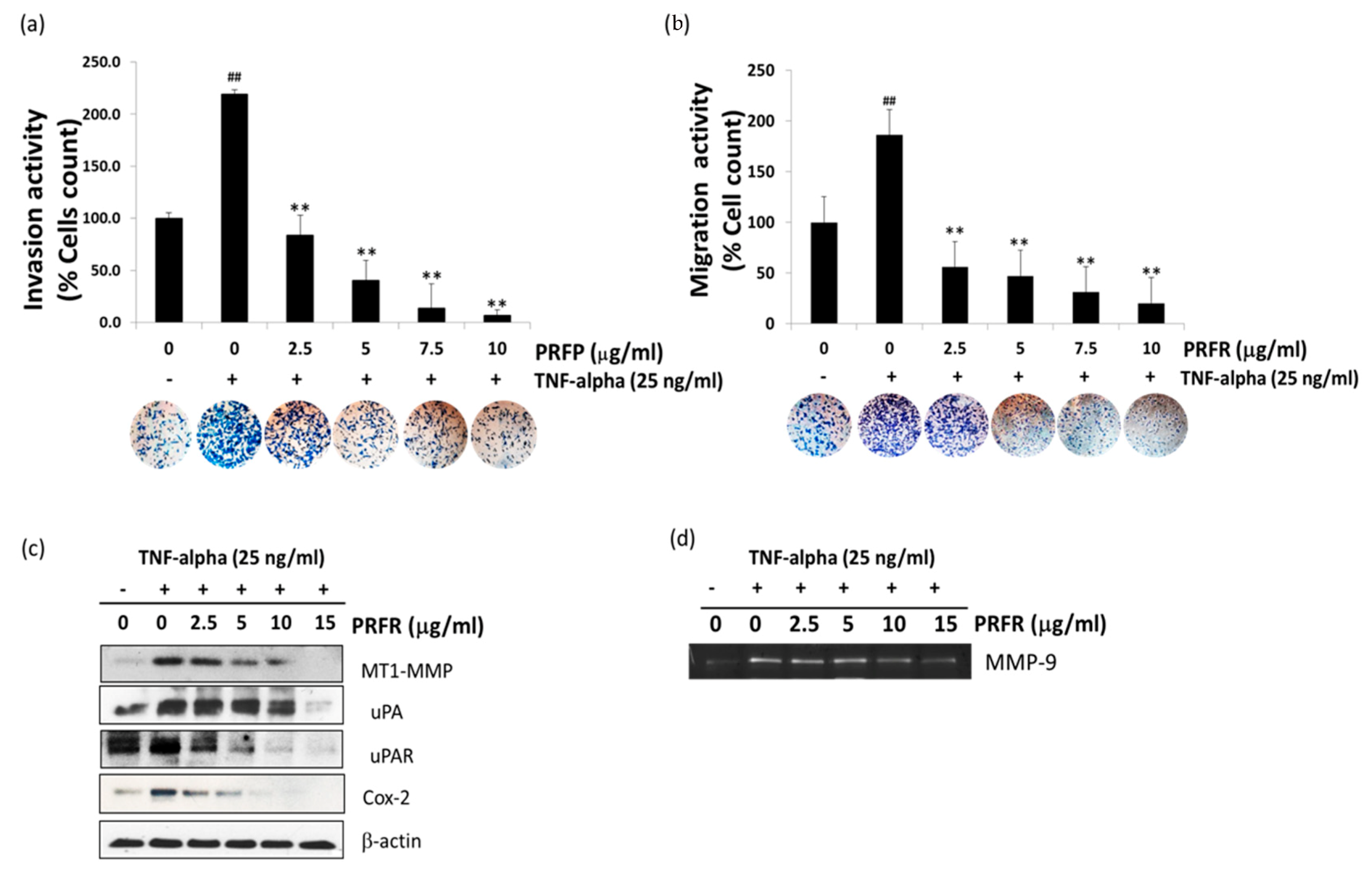 Molecules 24 03393 g004