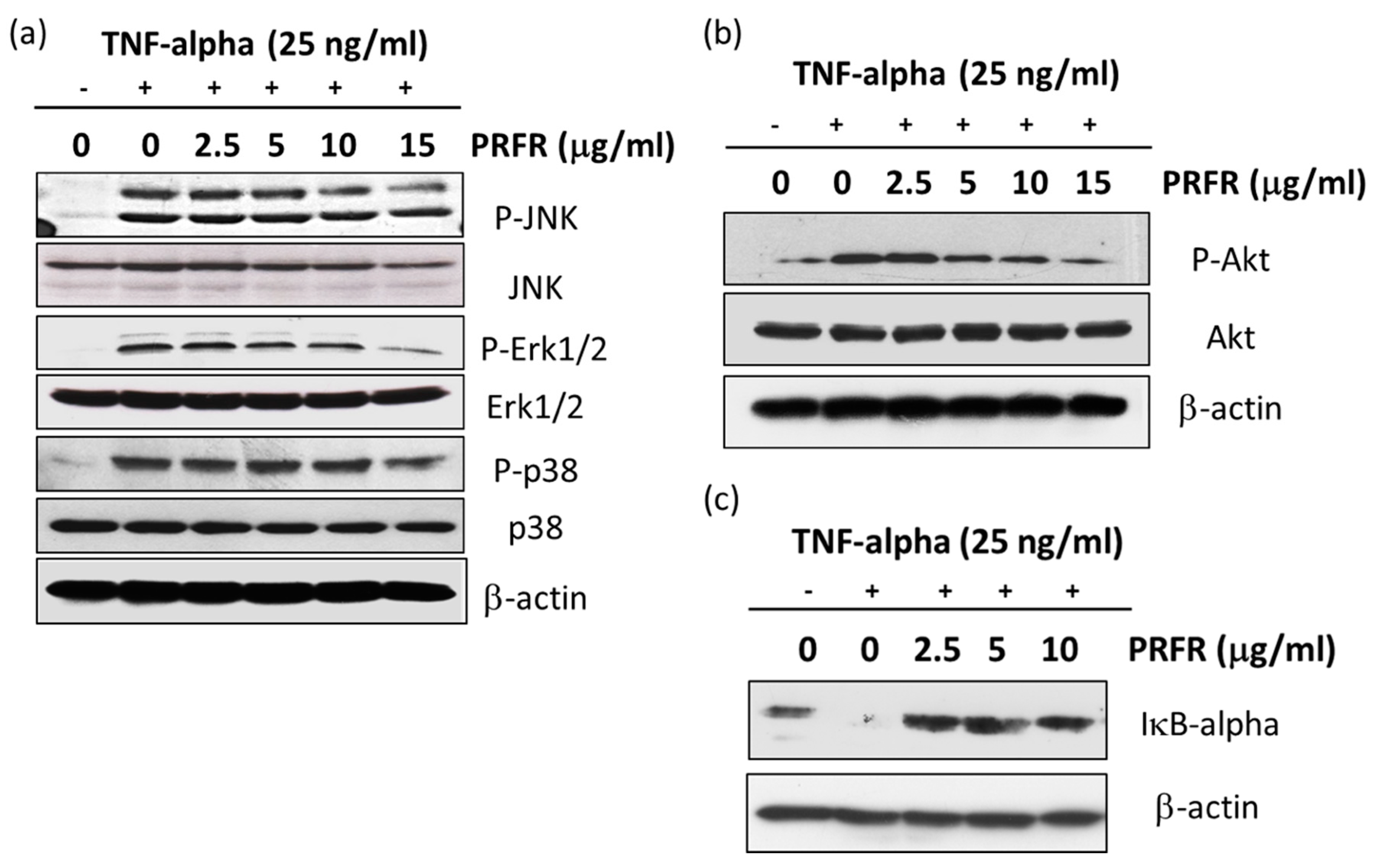 Molecules 24 03393 g006