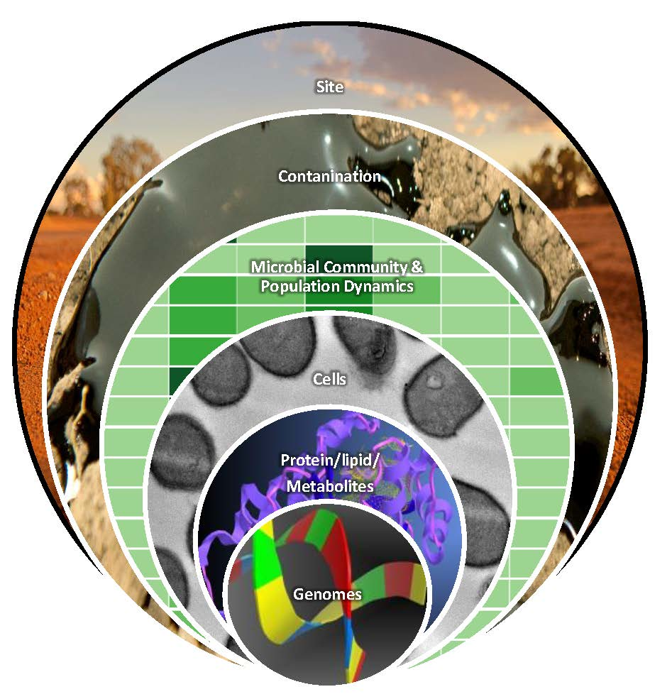 Molecules | Free Full-Text | Petroleum Hydrocarbon Contamination in