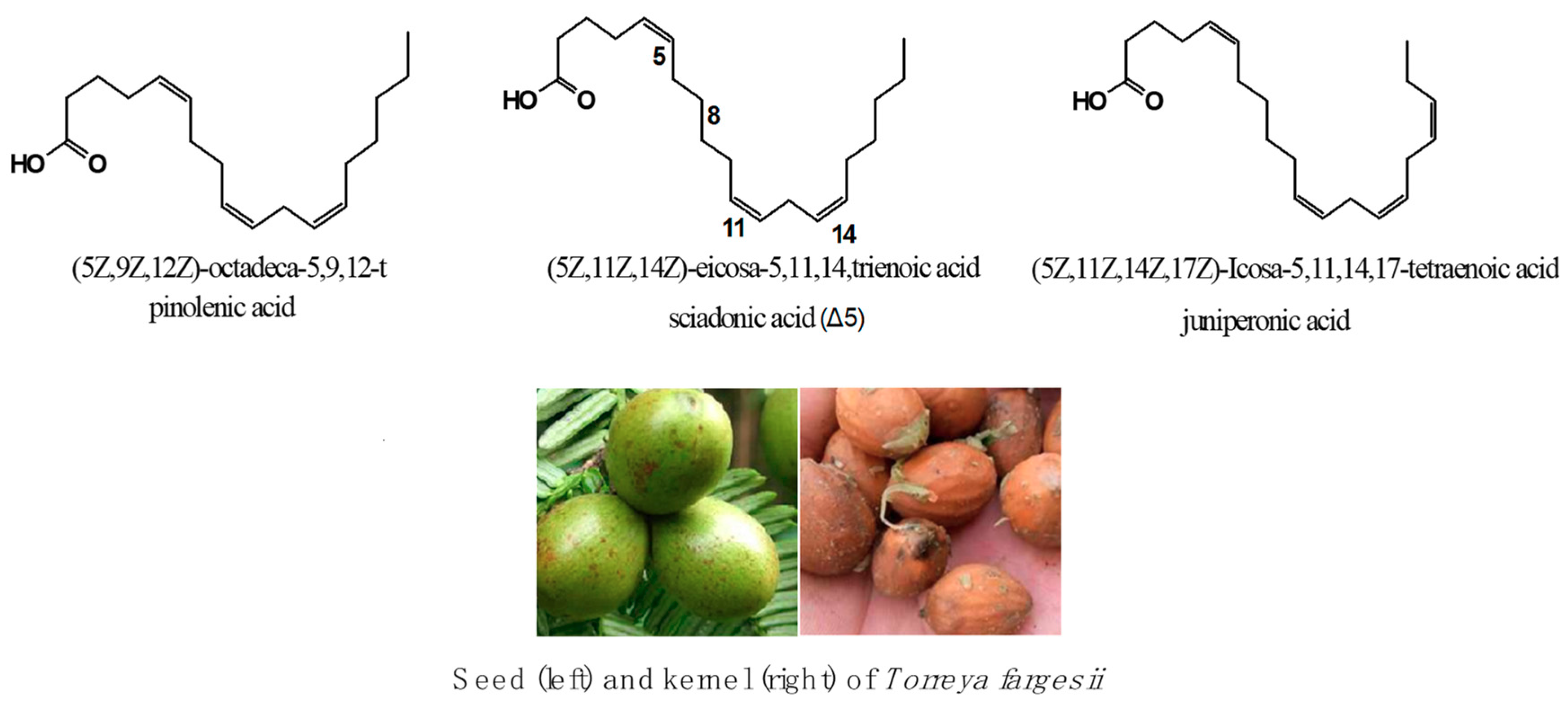 Molecules 24 03402 g001 Molecules 24 03402 g001