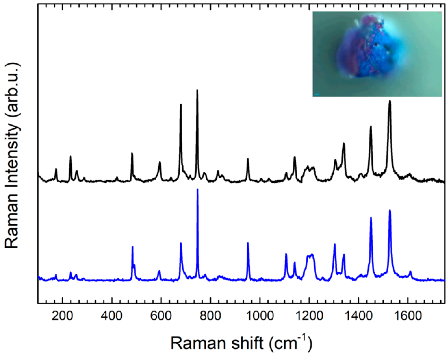 Molecules 24 03403 g006