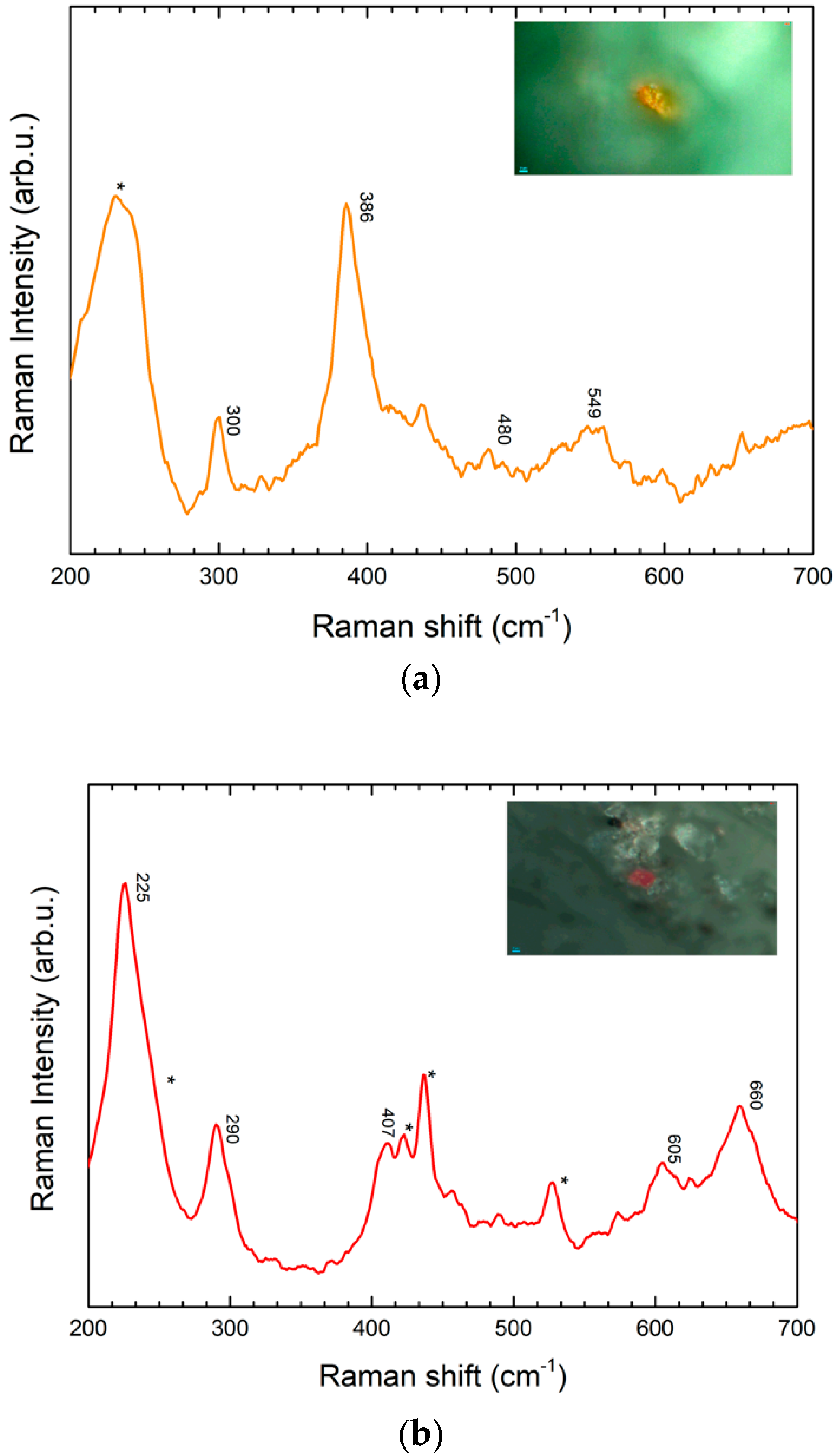 Molecules 24 03403 g007