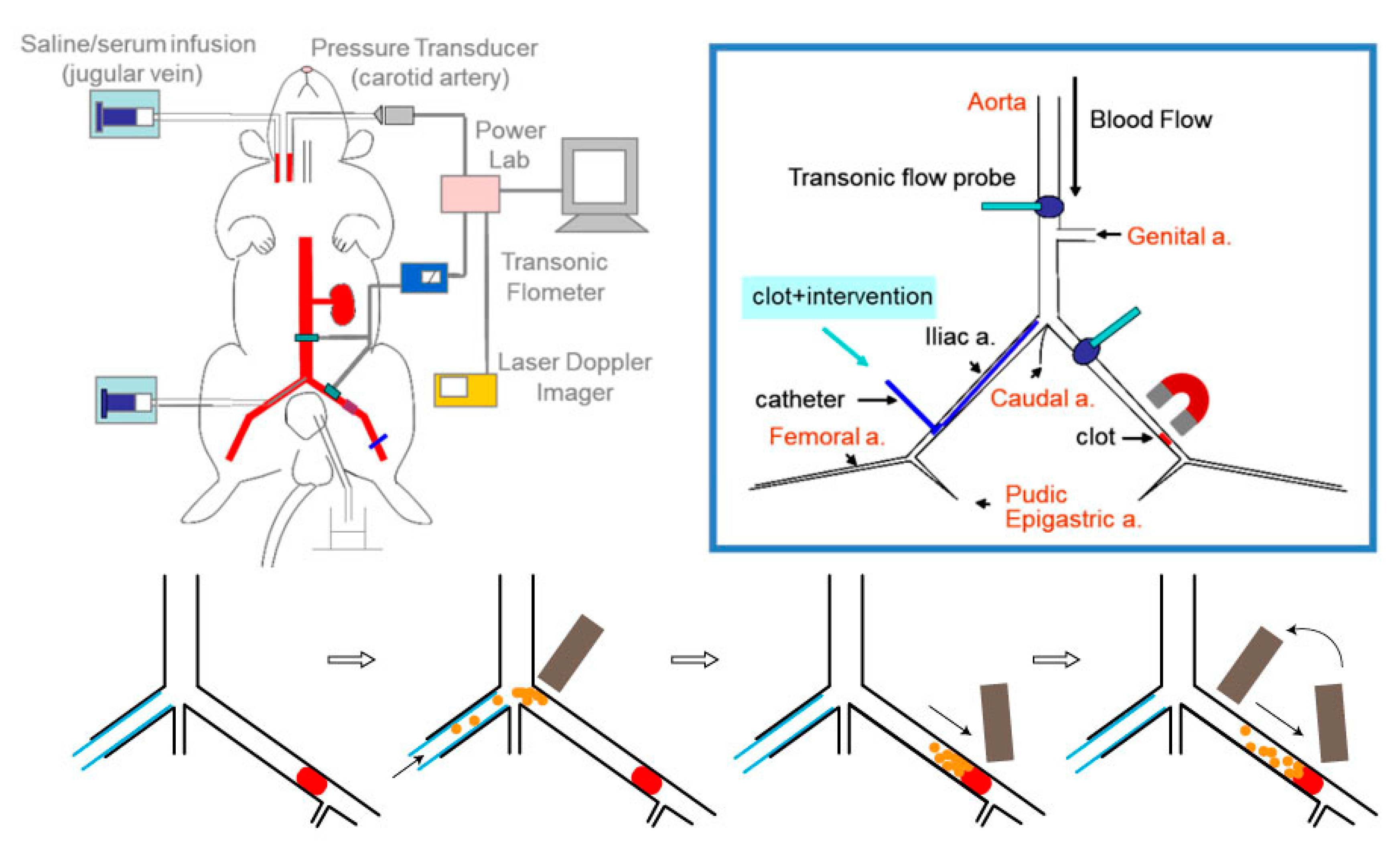 Molecules 24 03407 g003 Molecules 24 03407 g003
