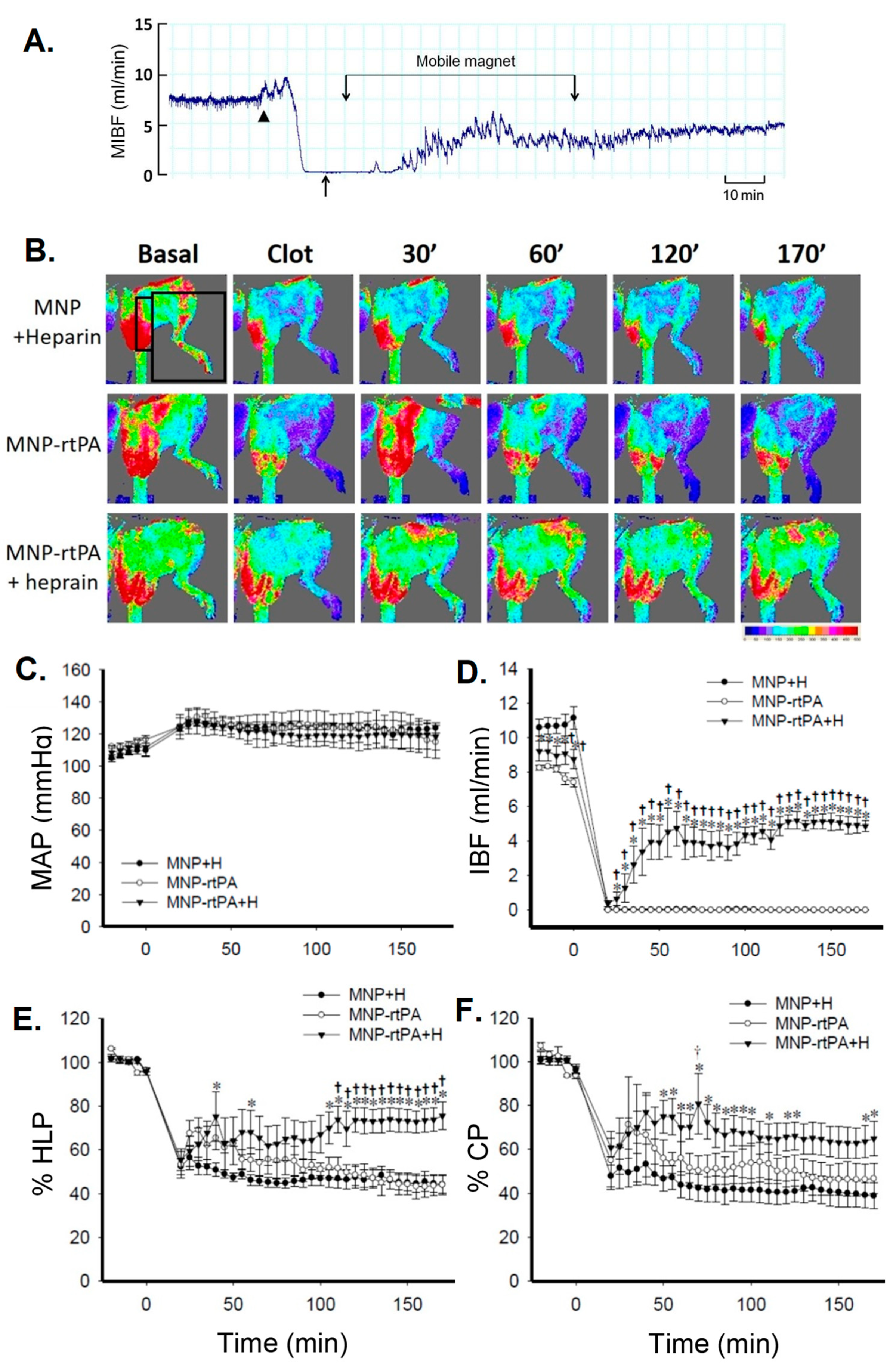 Molecules 24 03407 g004 Molecules 24 03407 g004