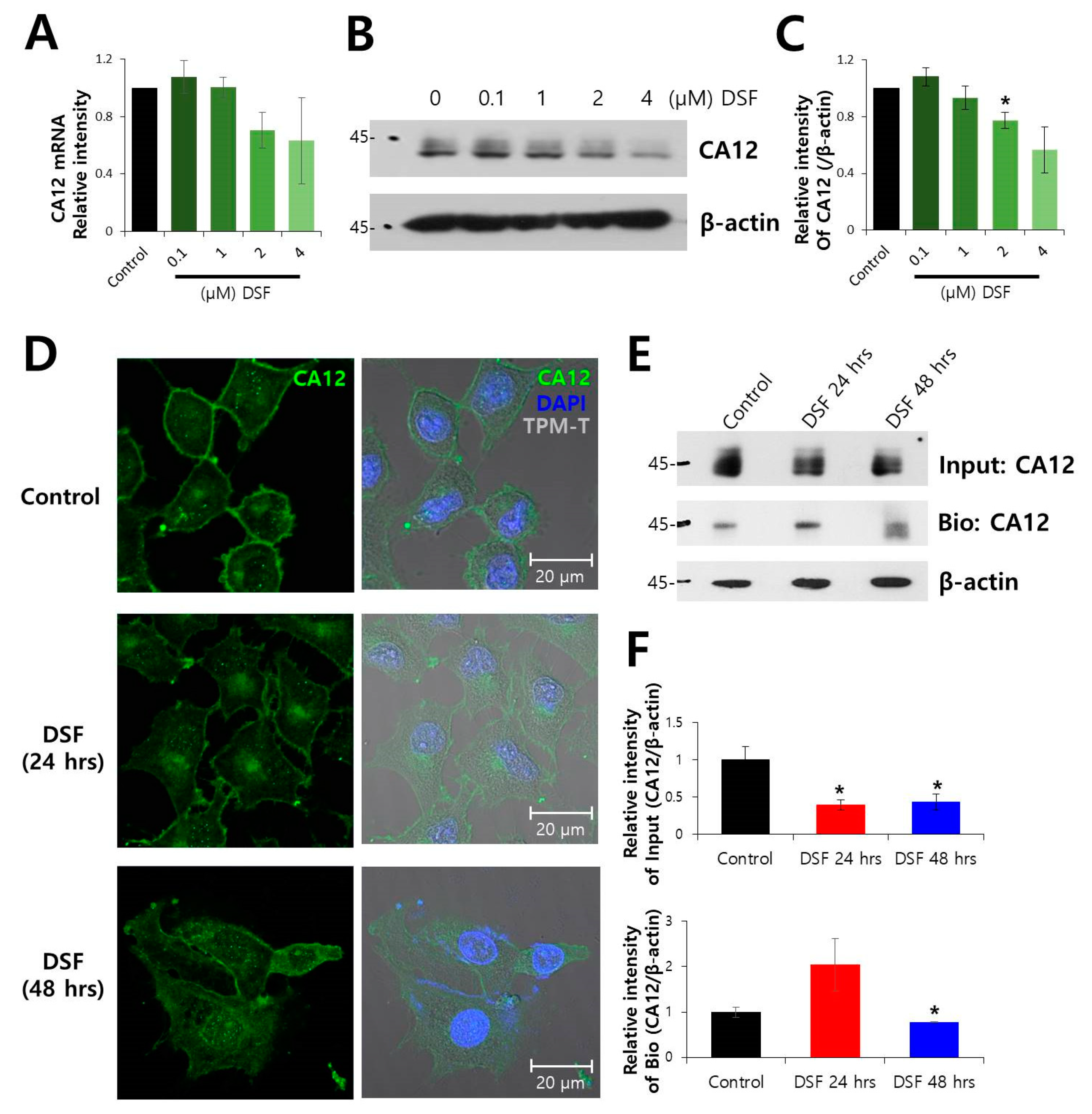 Molecules 24 03409 g001