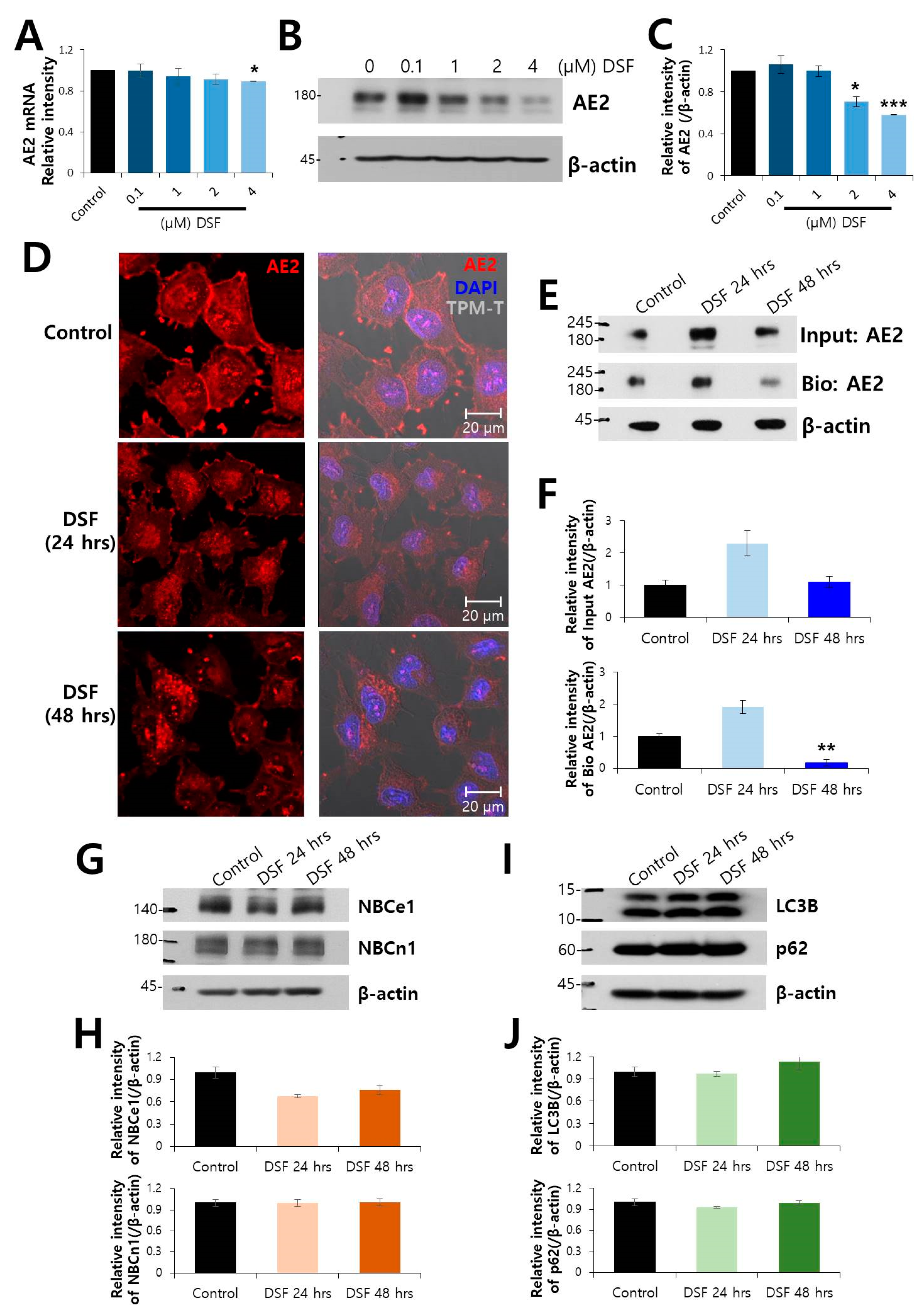 Molecules Free Full Text Drug Repurposing As An Antitumor