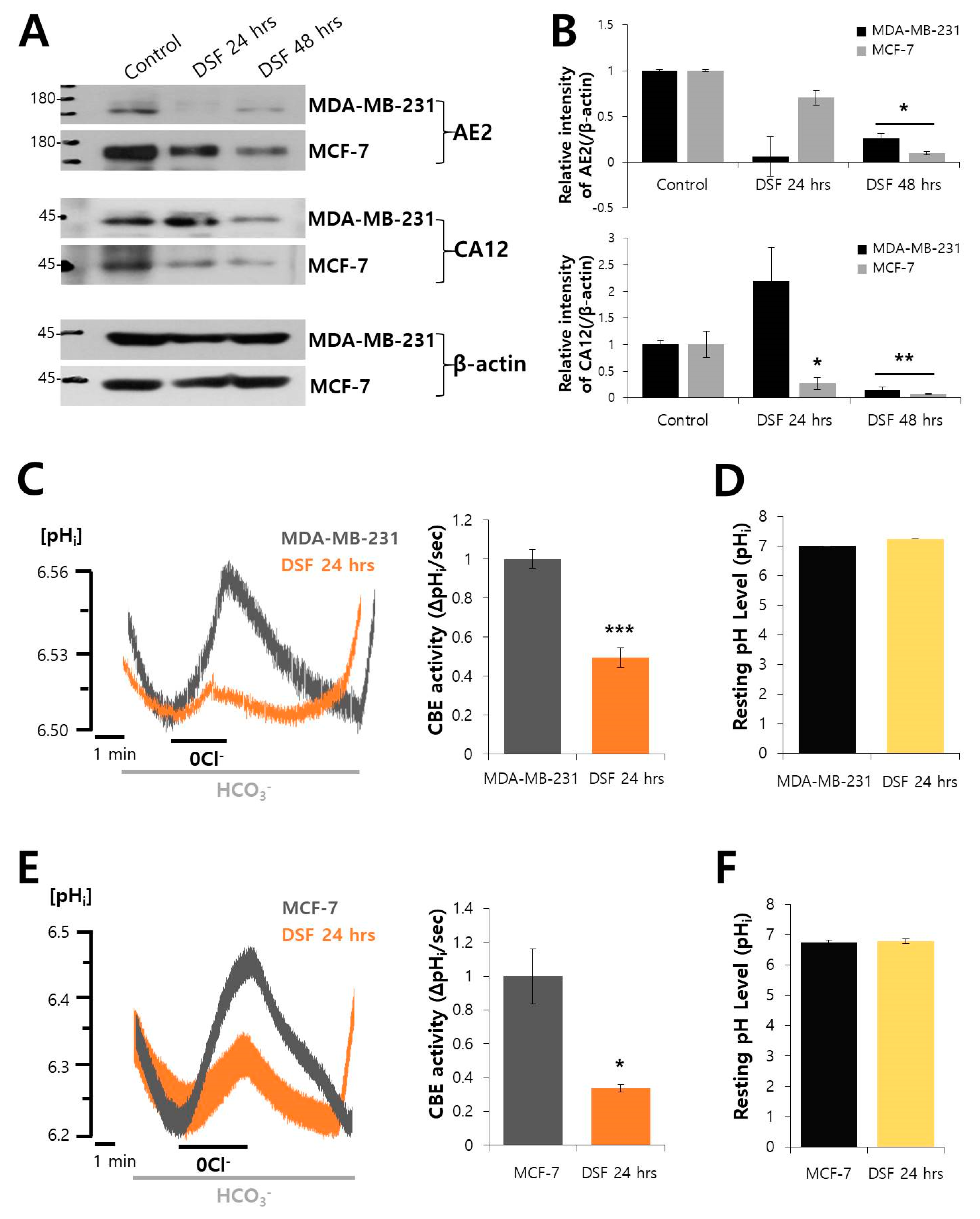 Molecules Free Full Text Drug Repurposing As An Antitumor