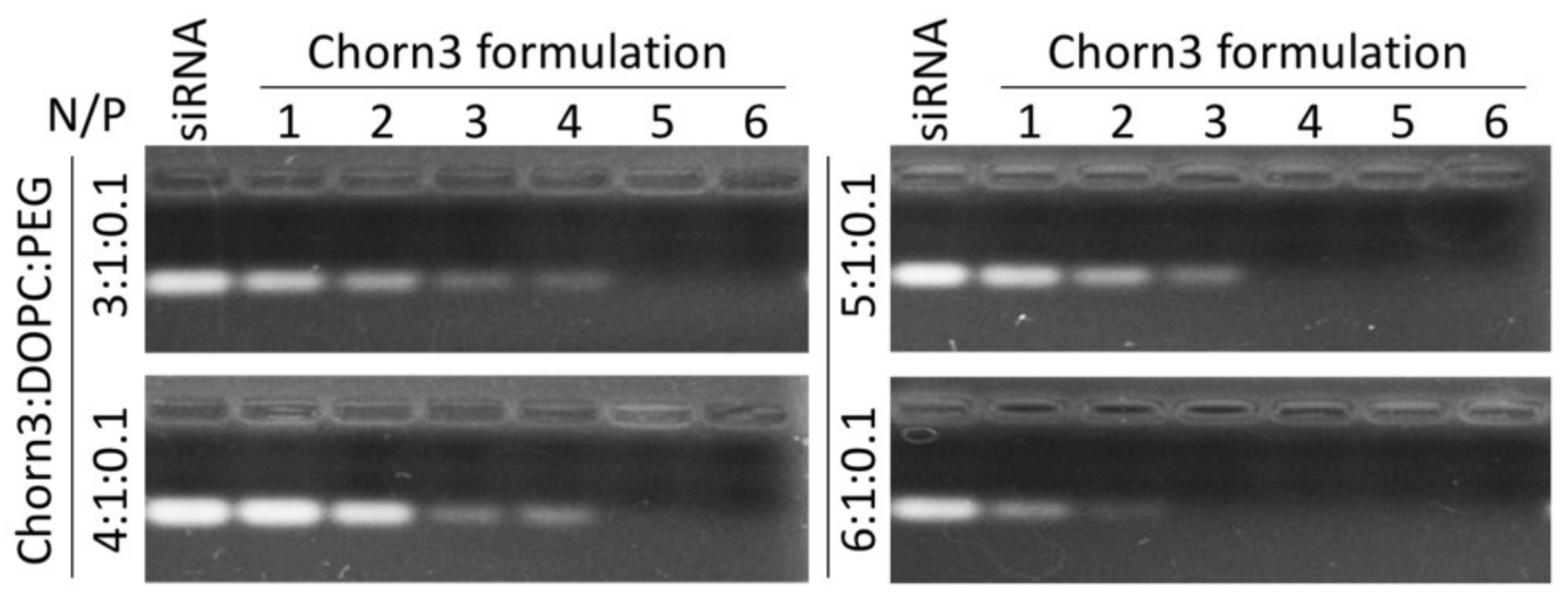 Molecules 24 03413 g003 Molecules 24 03413 g003