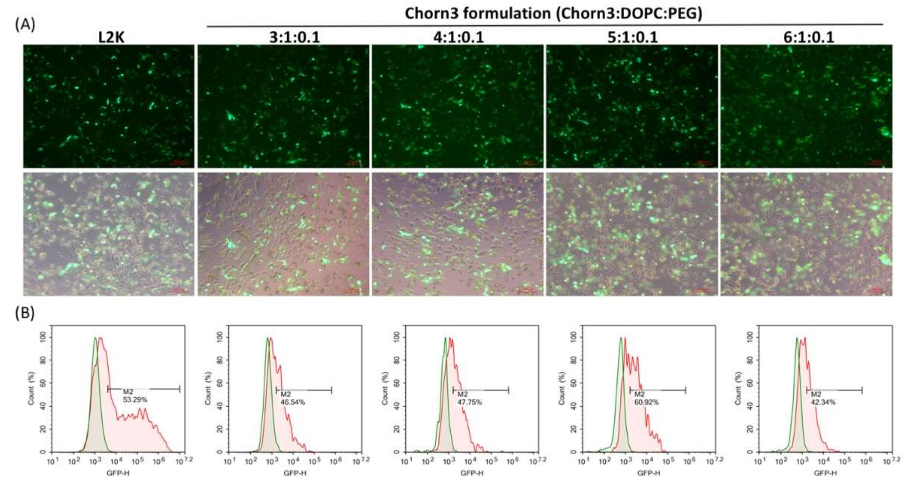 Molecules 24 03413 g006 Molecules 24 03413 g006