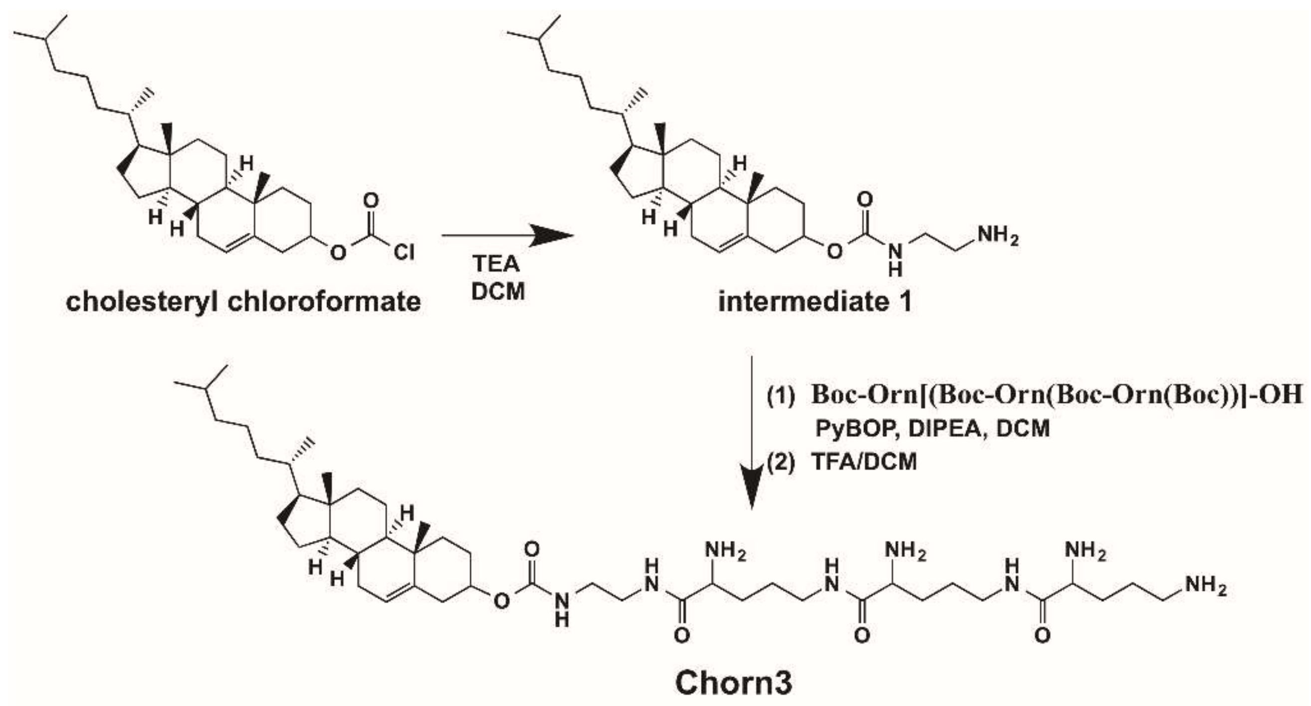 Molecules 24 03413 sch001 Molecules 24 03413 sch001