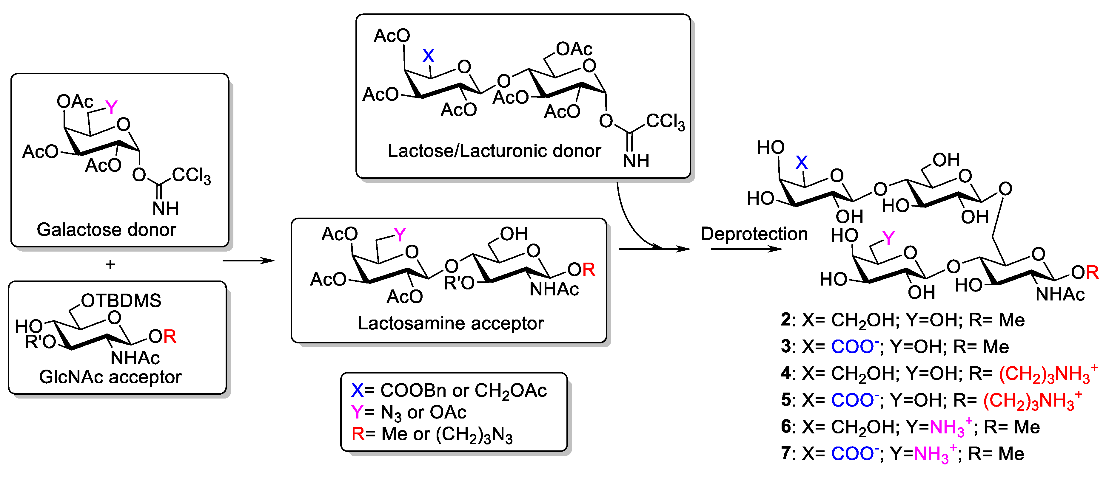 Molecules 24 03414 sch001 Molecules 24 03414 sch001