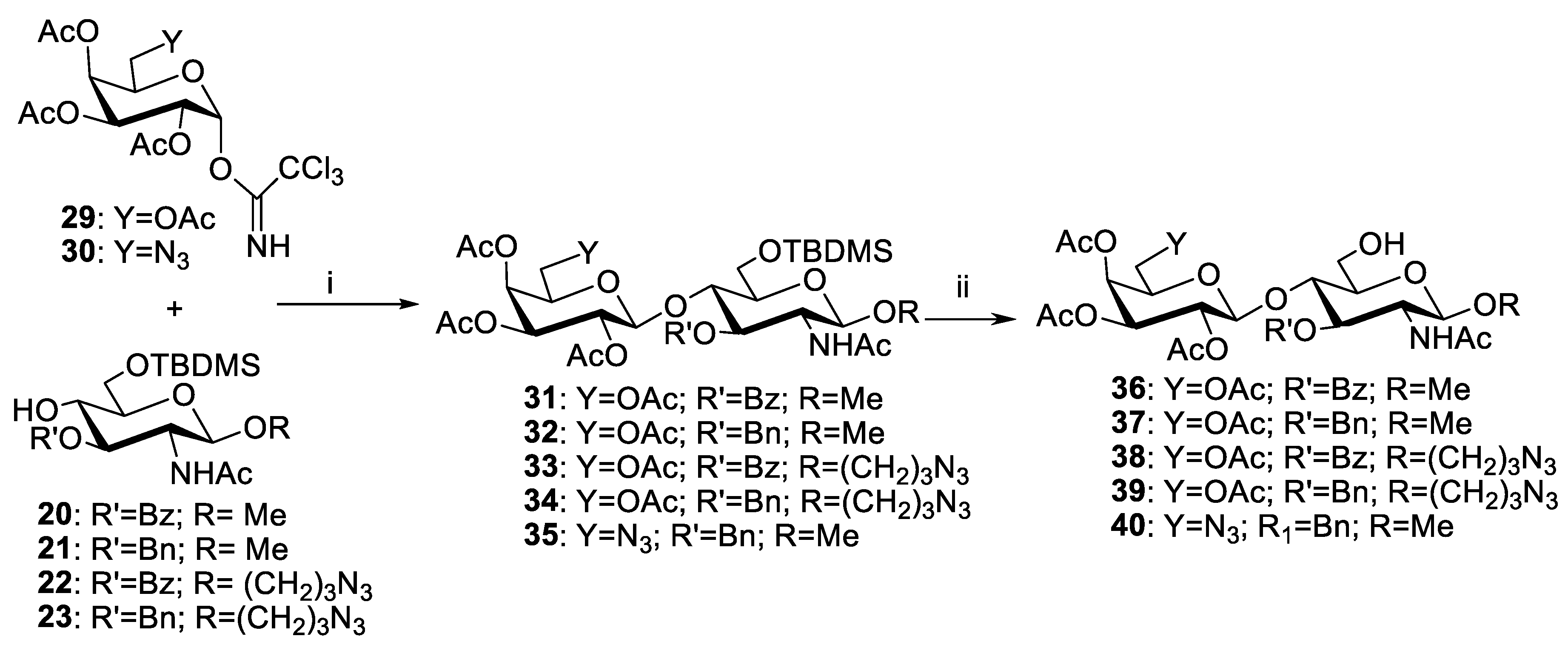 Molecules 24 03414 sch004 Molecules 24 03414 sch004