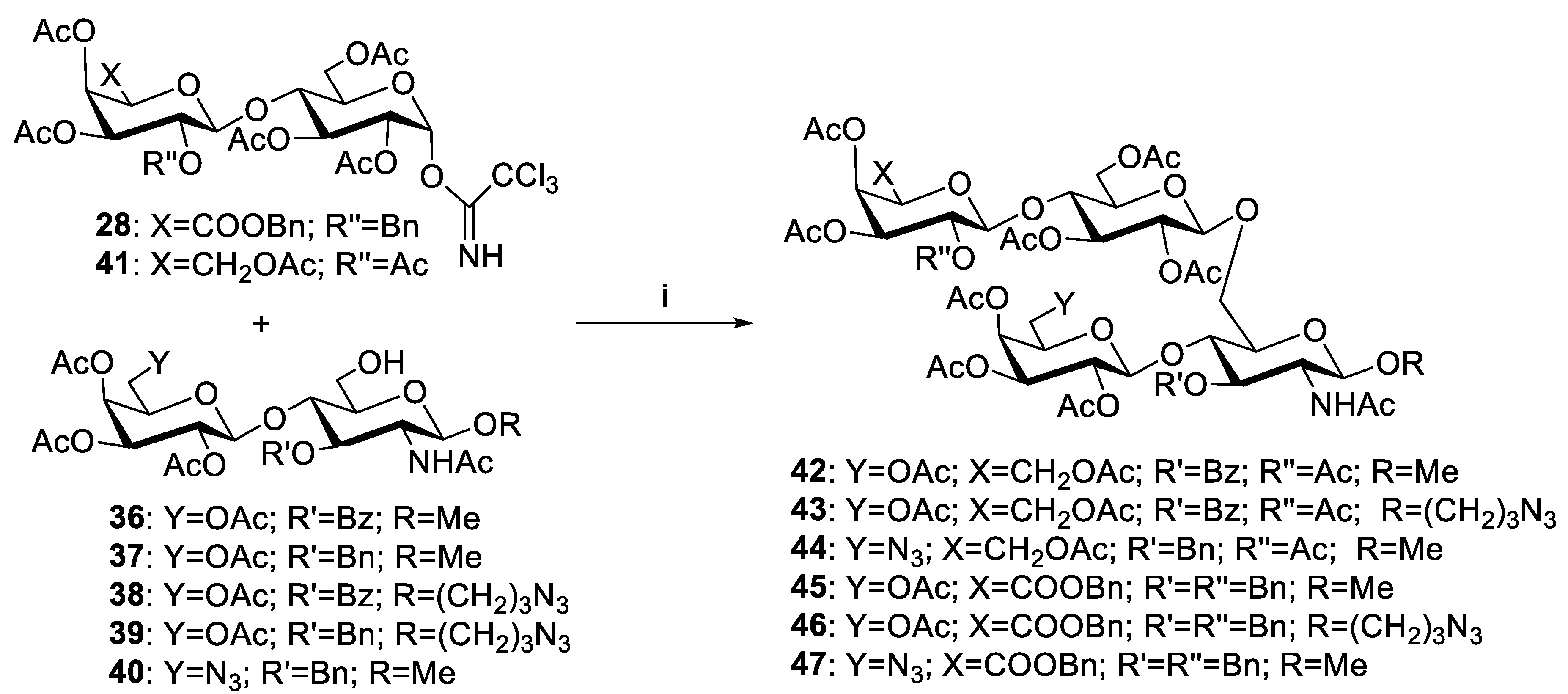 Molecules 24 03414 sch005 Molecules 24 03414 sch005