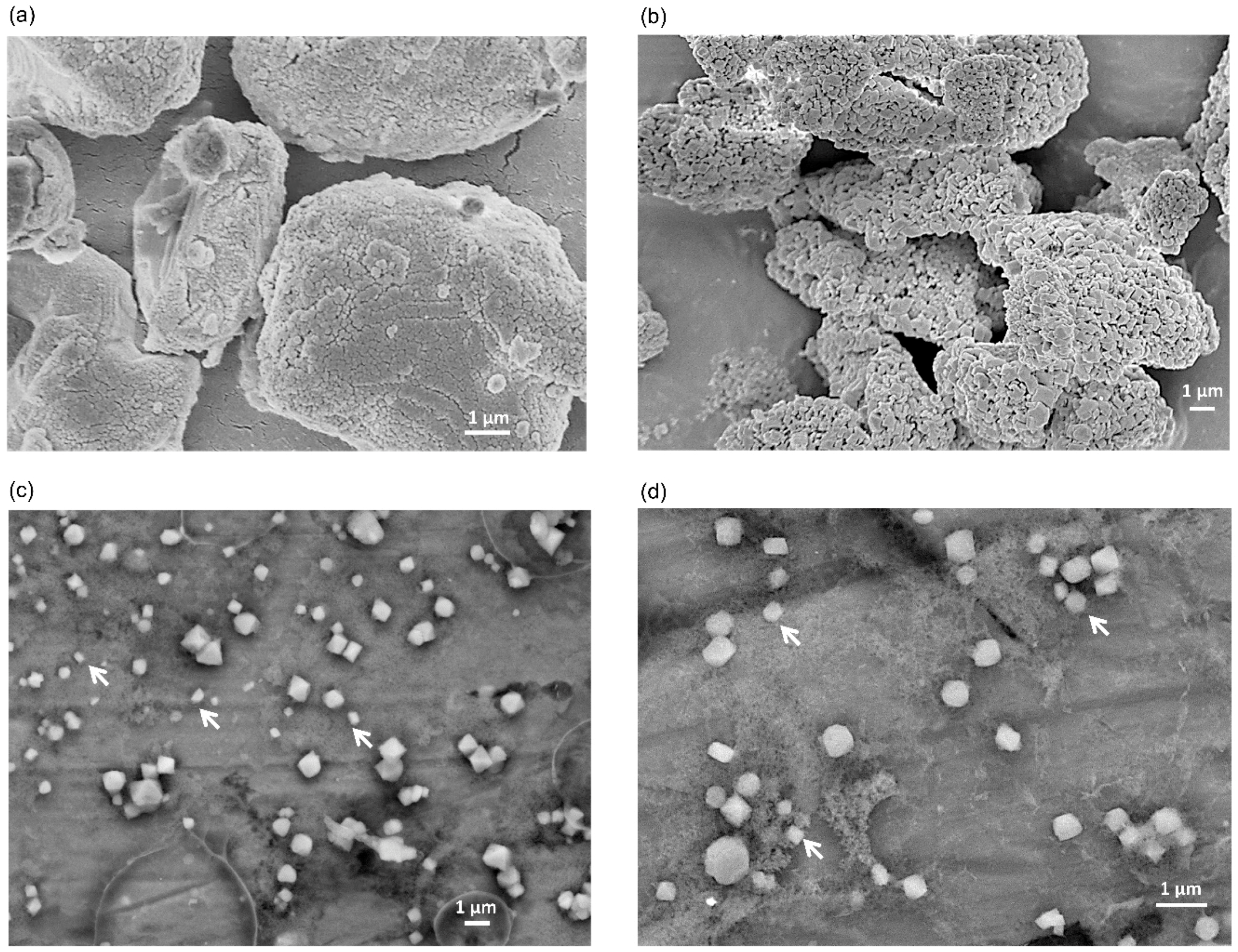 Molecules 24 03415 g003 Molecules 24 03415 g003