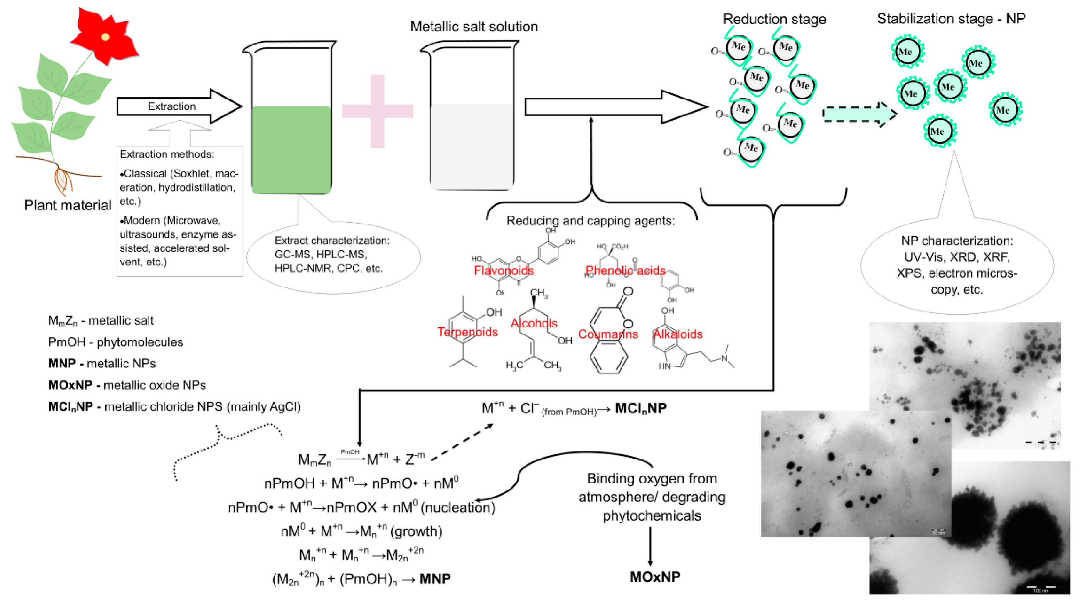 Molecules 24 03418 g002 Molecules 24 03418 g002