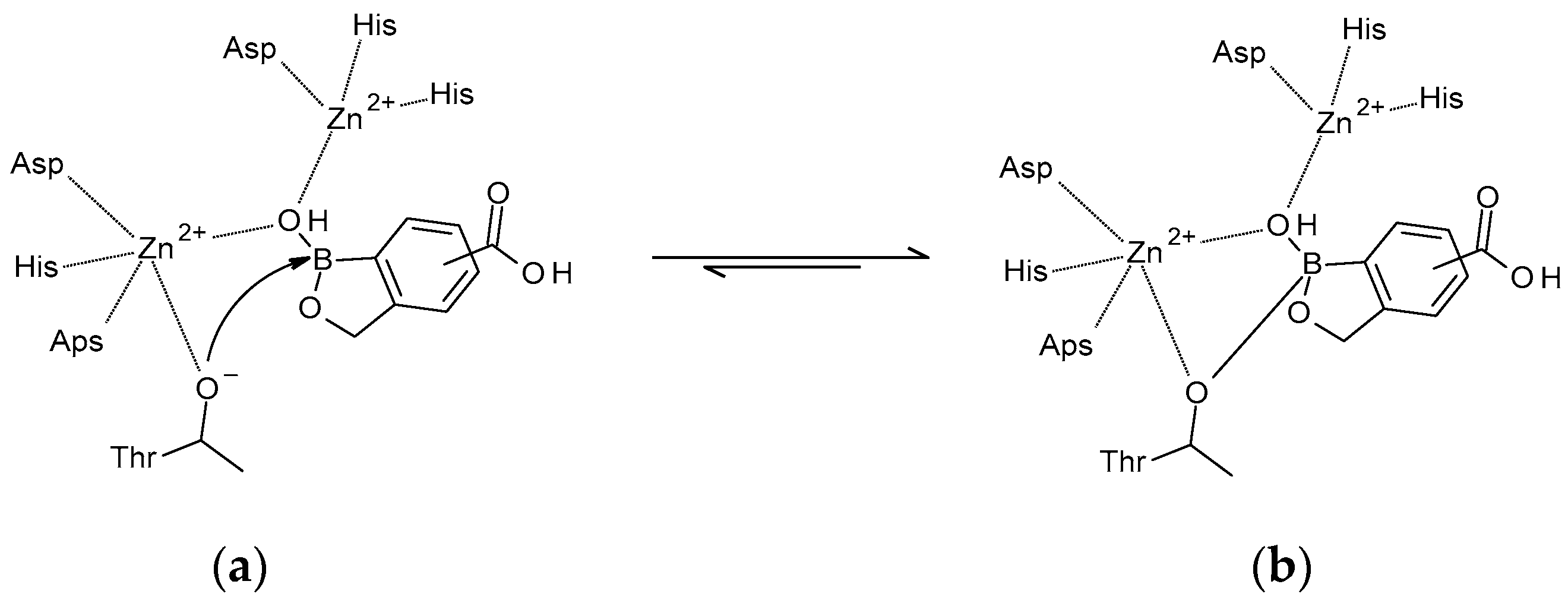 Molecules 24 03419 g003