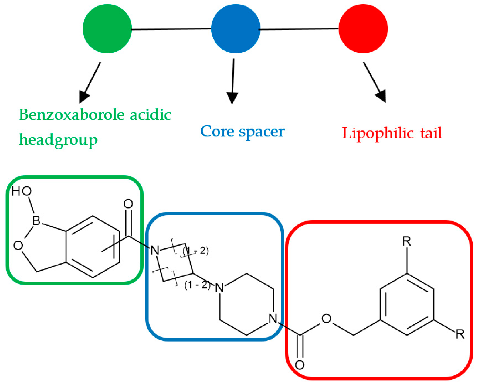 Molecules 24 03419 g004