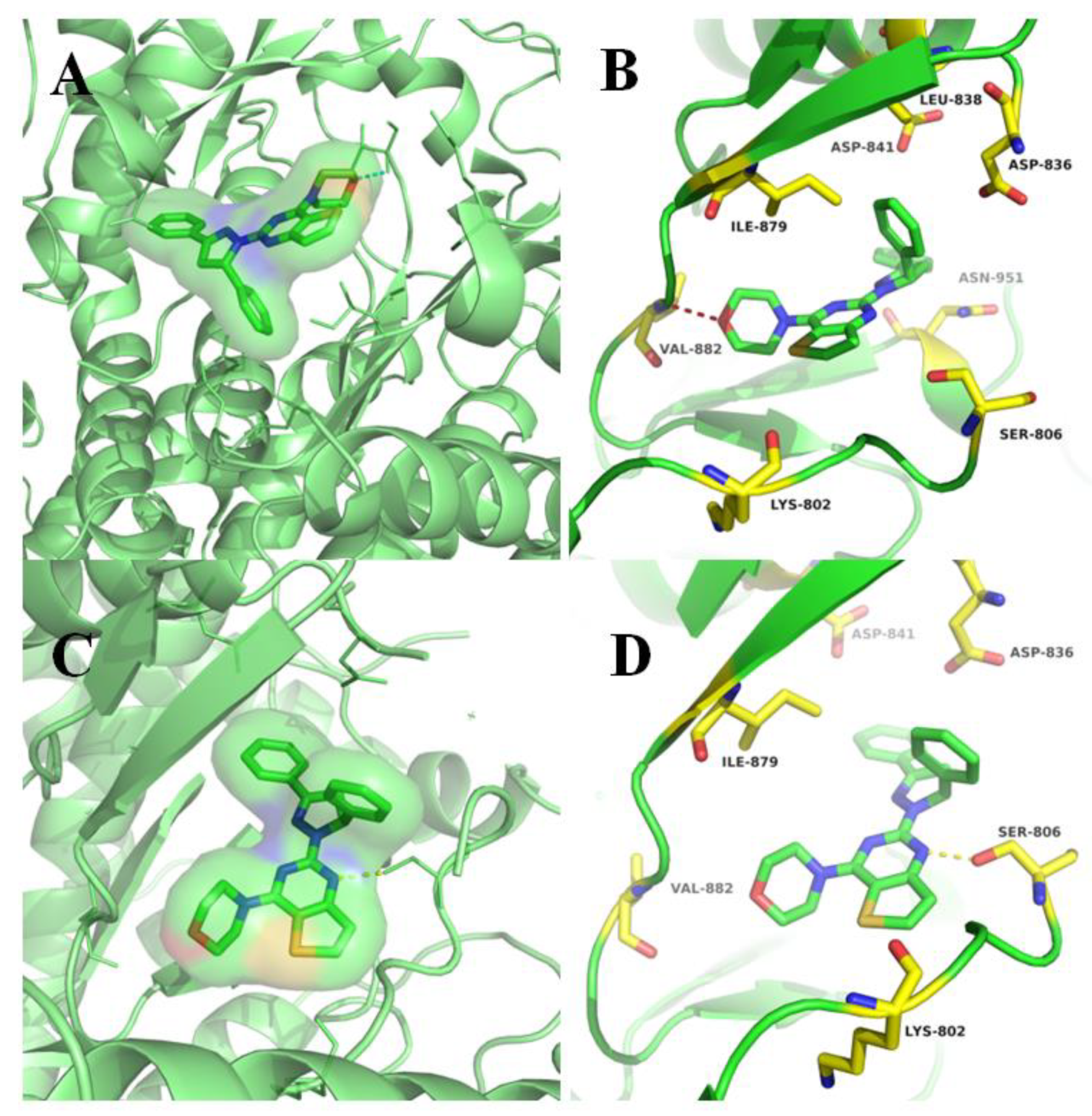 Molecules 24 03422 g003