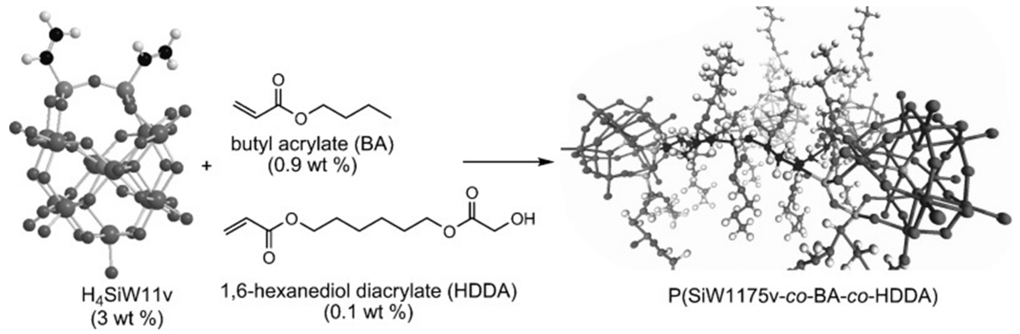 Molecules 24 03425 g009