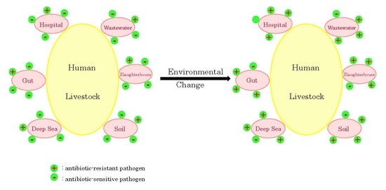 Molecules | Free Full-Text | Comparison of Antibiotic Resistance 