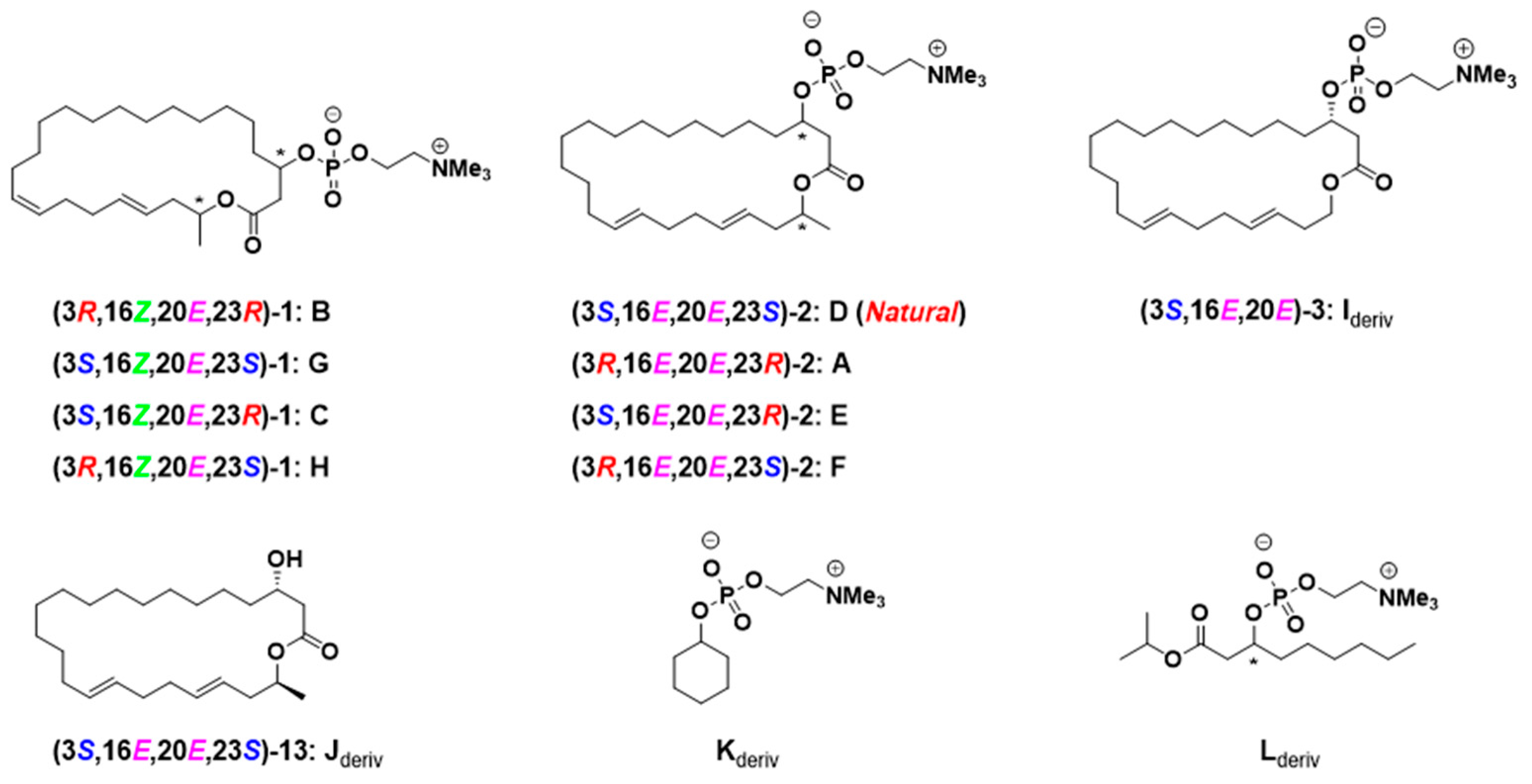 Molecules 24 03437 g002