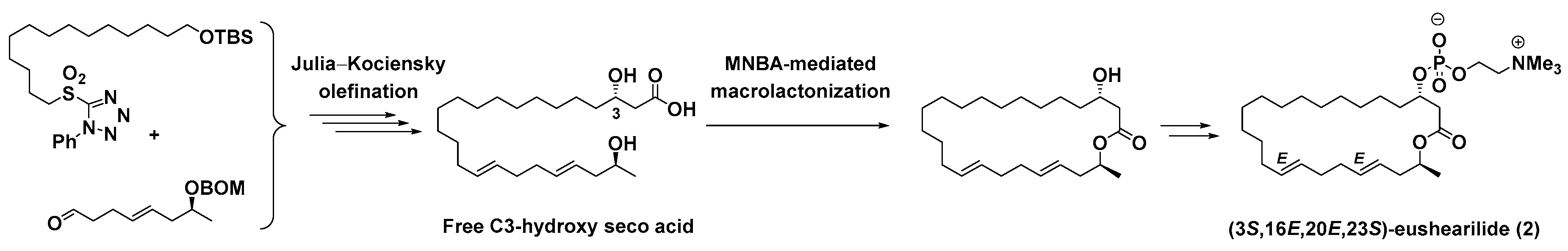 Molecules 24 03437 sch001
