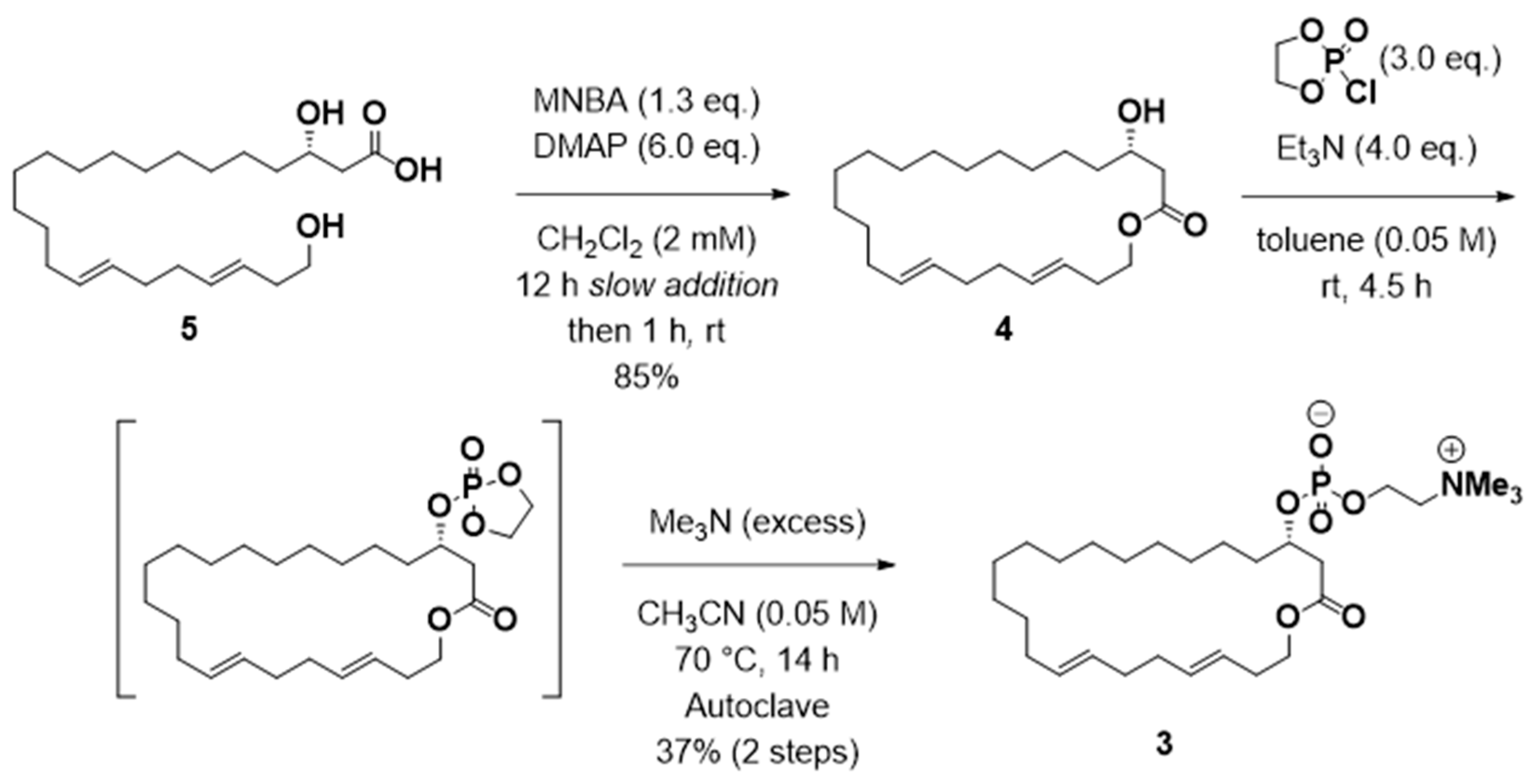 Molecules 24 03437 sch004