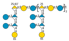 Molecules 24 03441 i003 Molecules 24 03441 i003